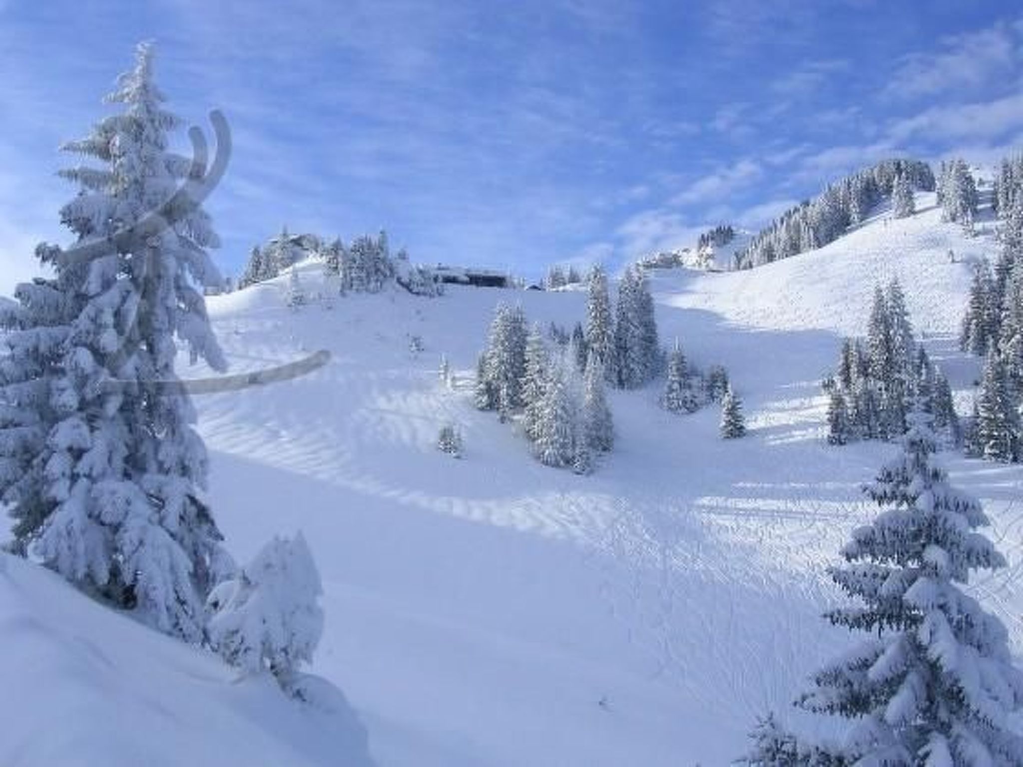 Apartment mit Königscard für 4 Personen-Binnen