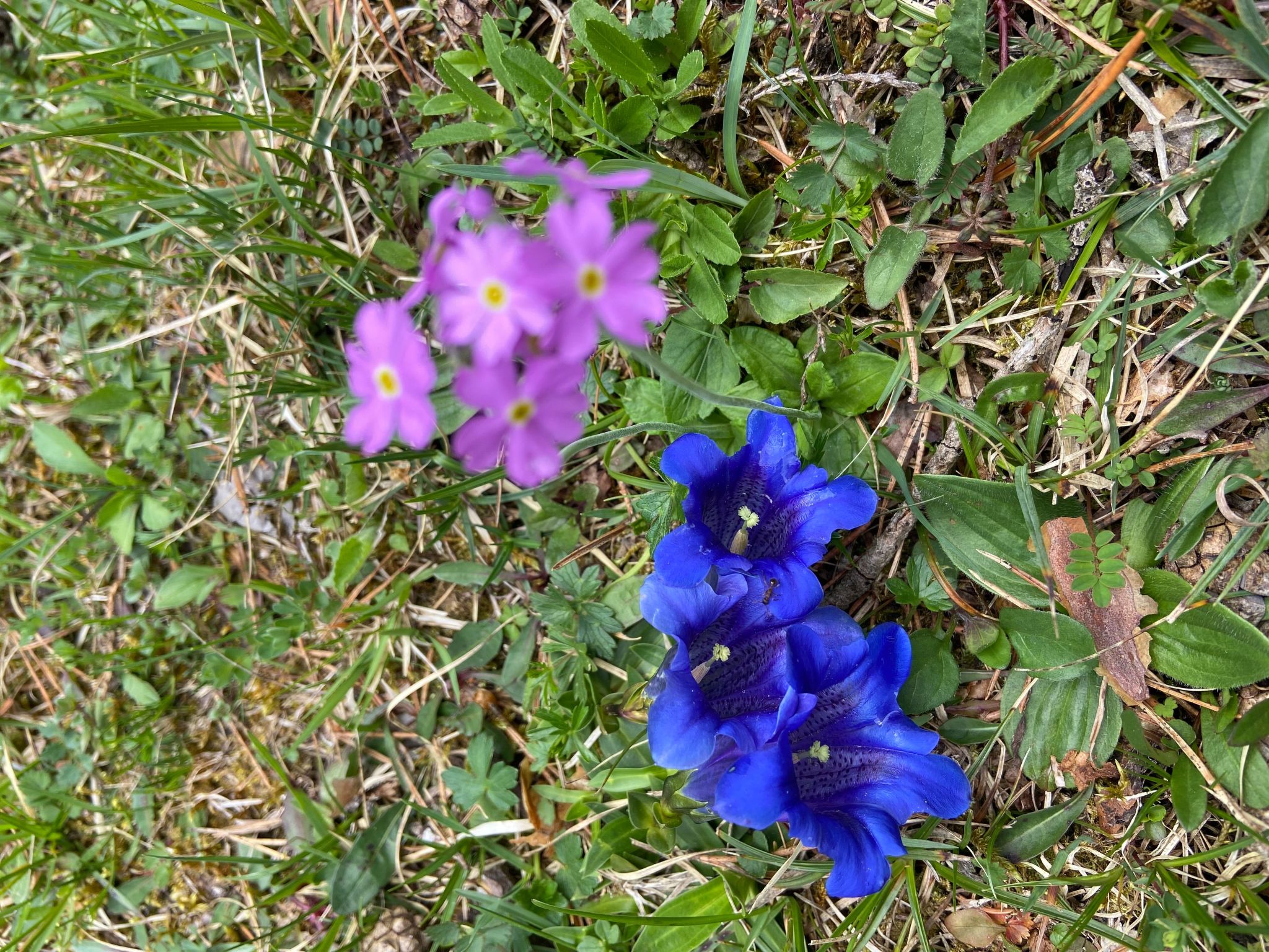 Haus Rosenwirth-Binnen