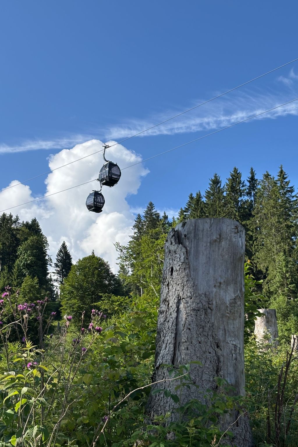 Haus Rosenwirth-Binnen