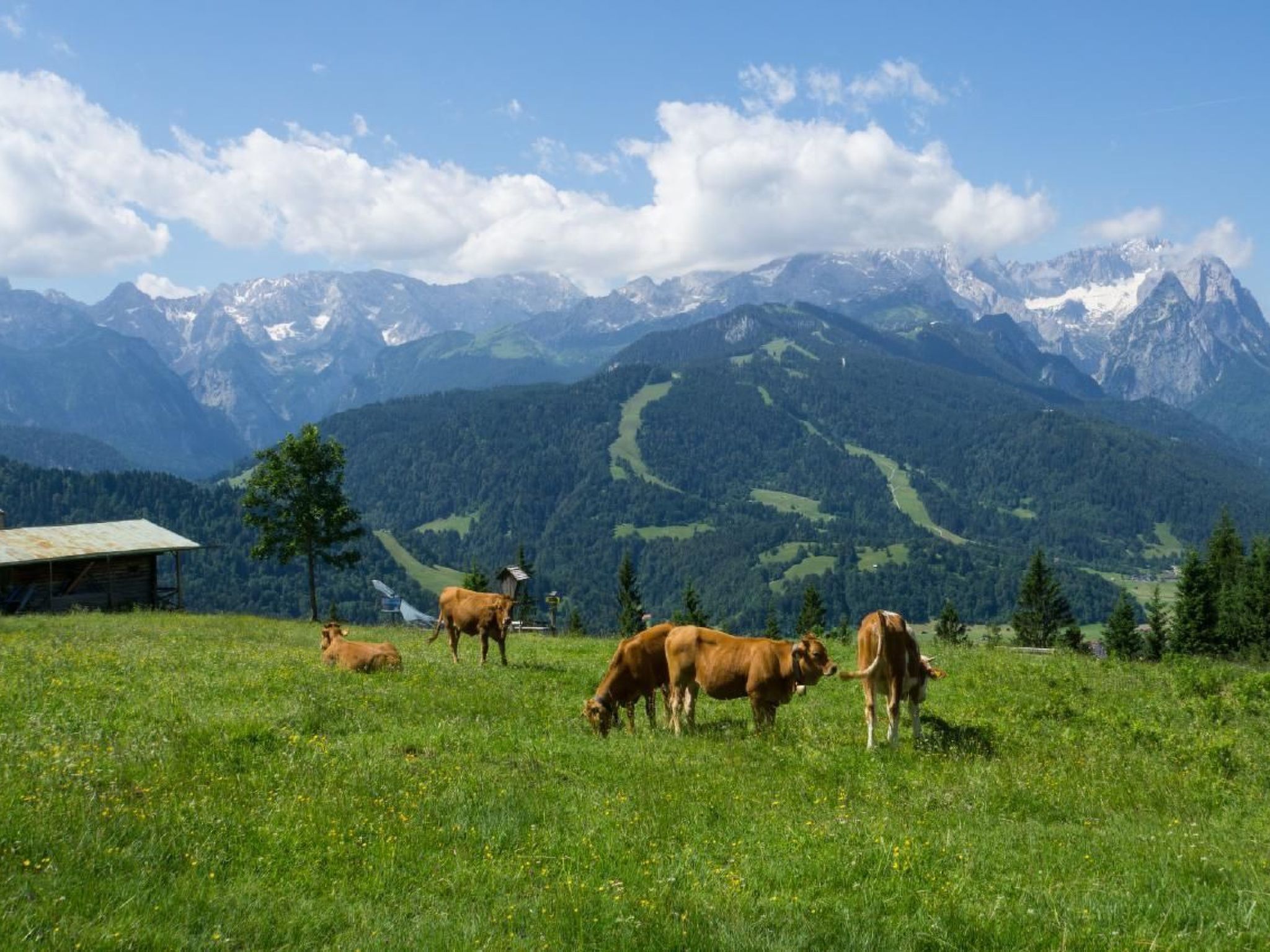 Fewo Alpspitze-Image-tags.info