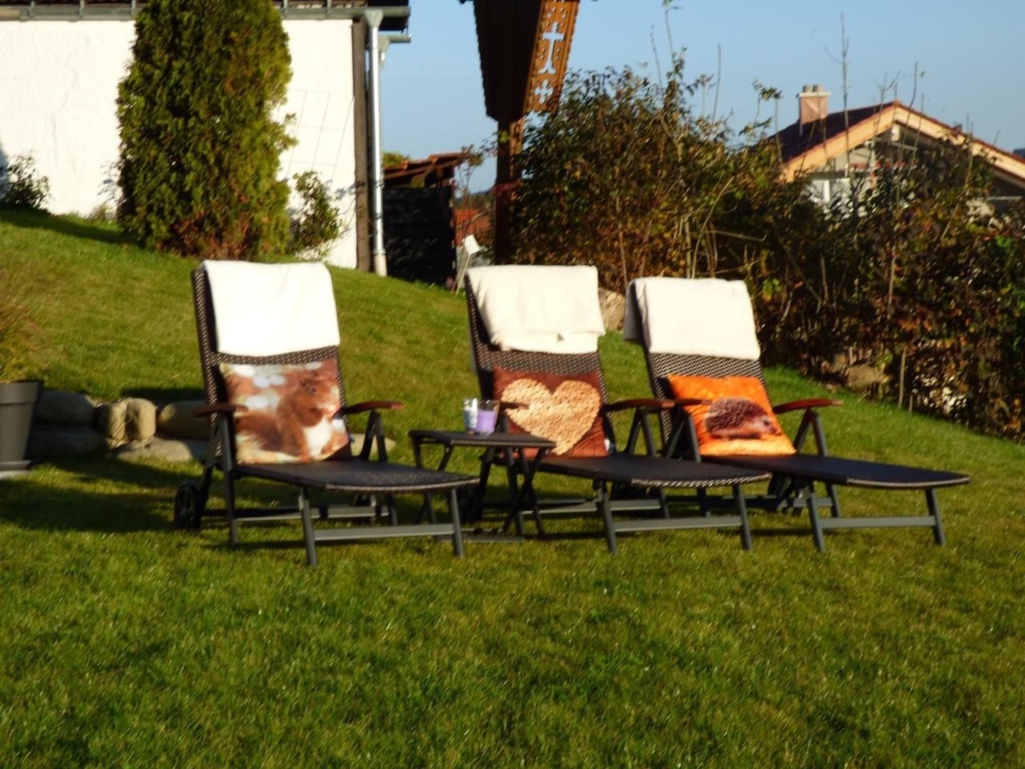 Mit Blick auf das Wasser-Image-tags.info