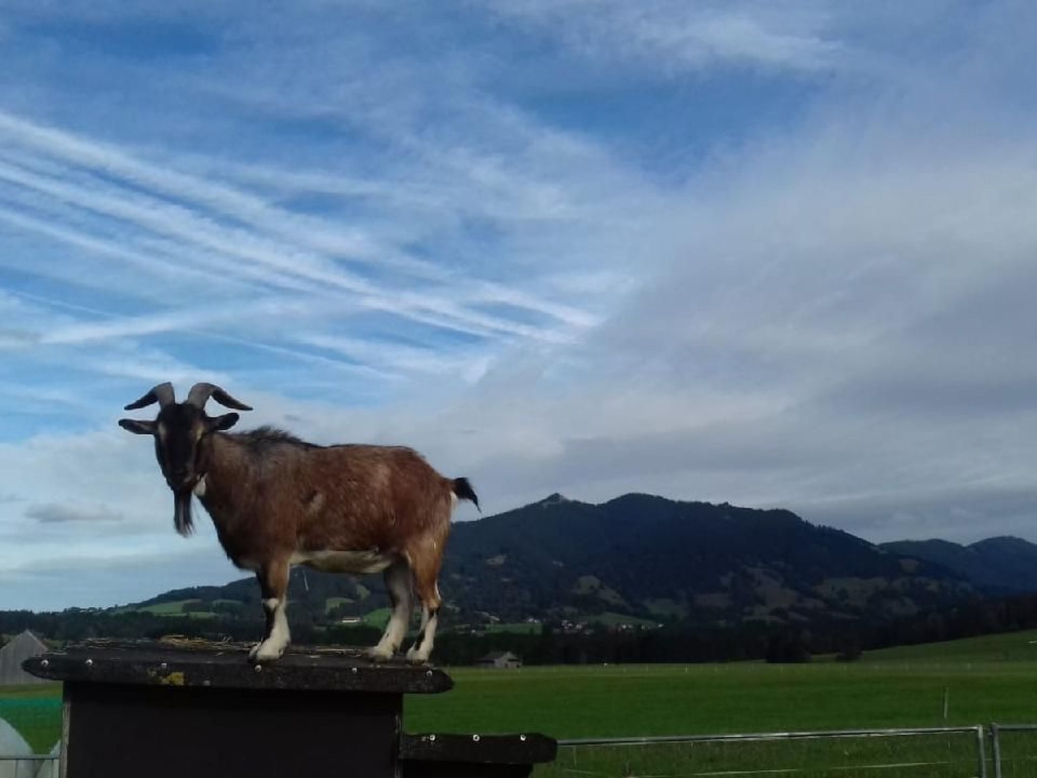 Mit Blick auf das Wasser-Outside