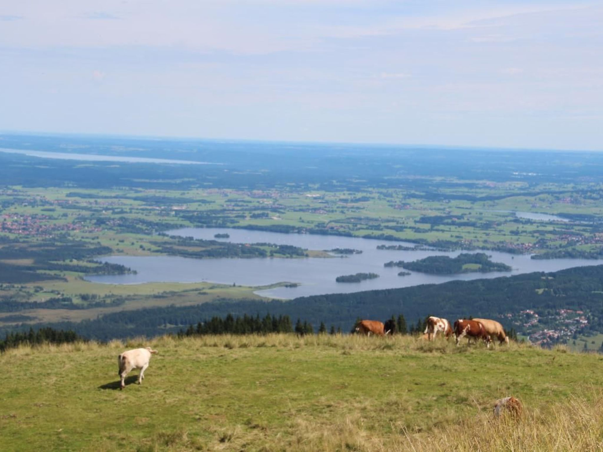 Mit Blick auf das Wasser-Outside