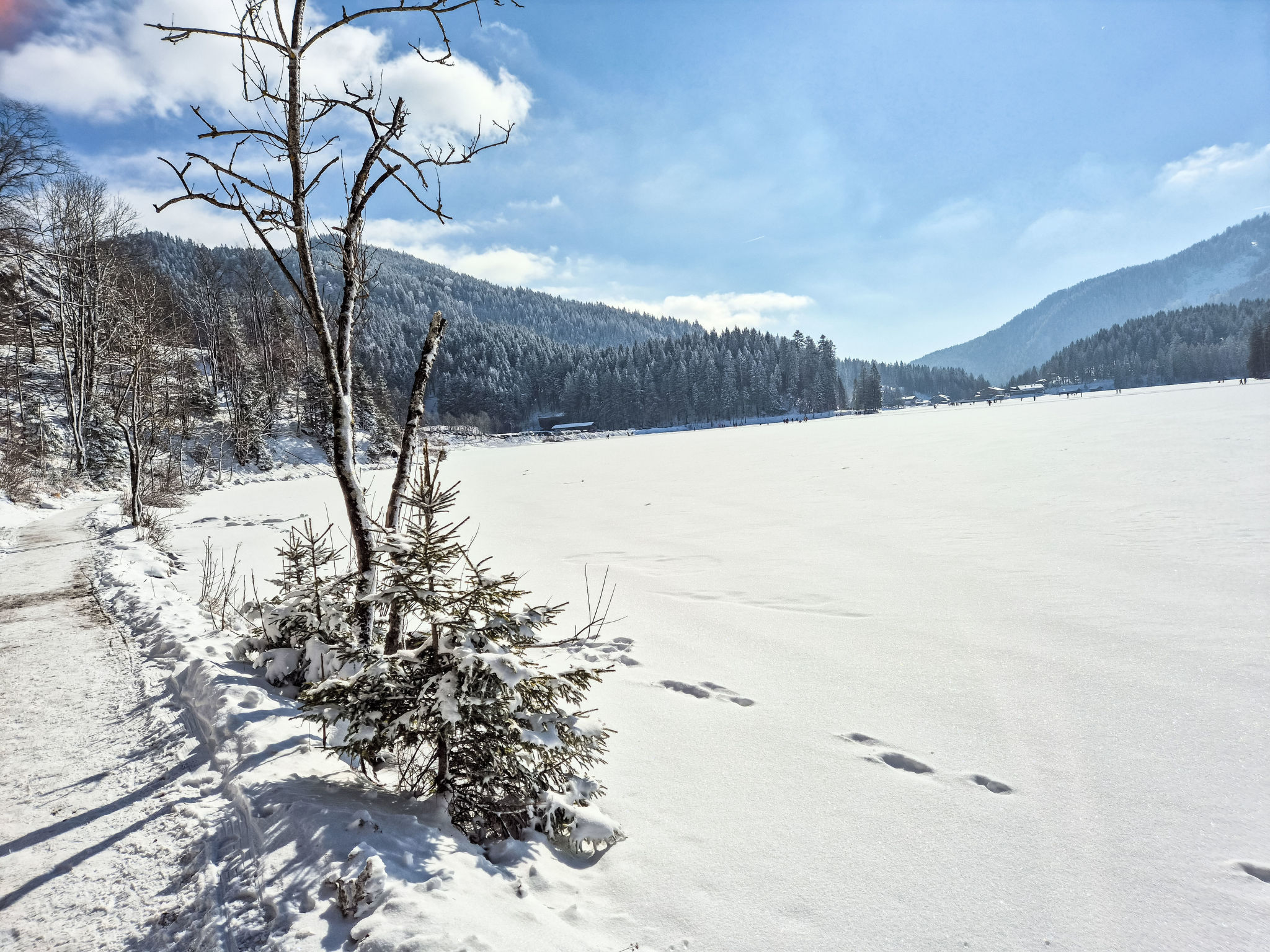 Tiny Haus Glockenalm-Chalet Lissi — House (5 of 37)