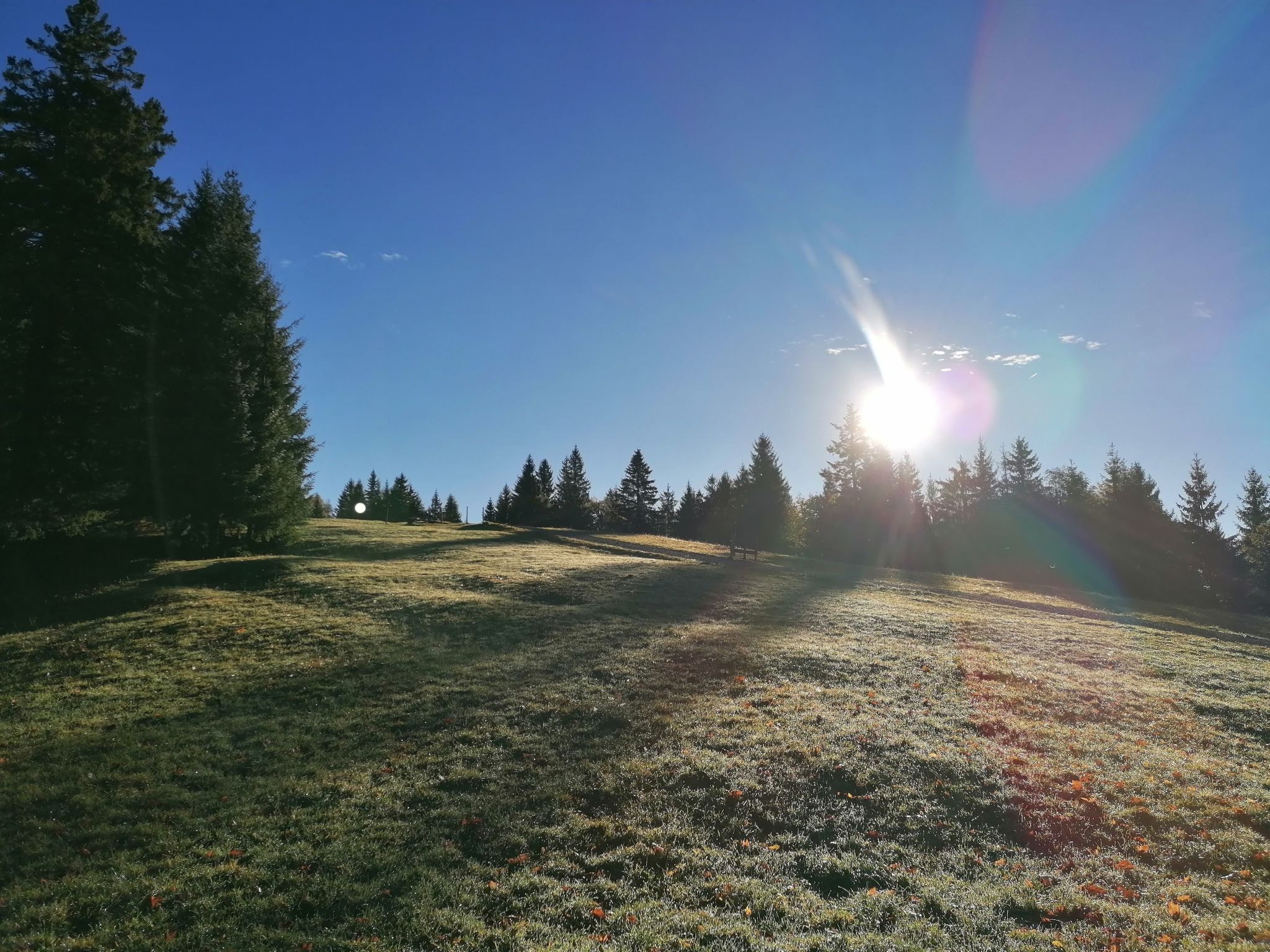 Region Tegernsee-Image-tags.info