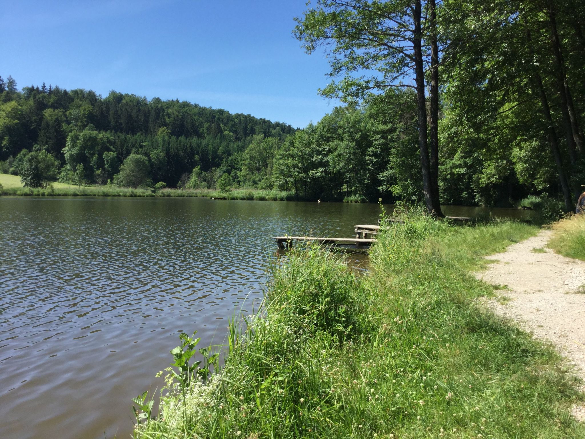 Mit Panoramablick-Drinnen