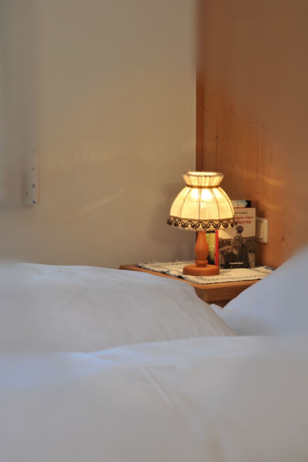 Komfortable Ferienwohnung mit herrlichem Bergblick-Dedans