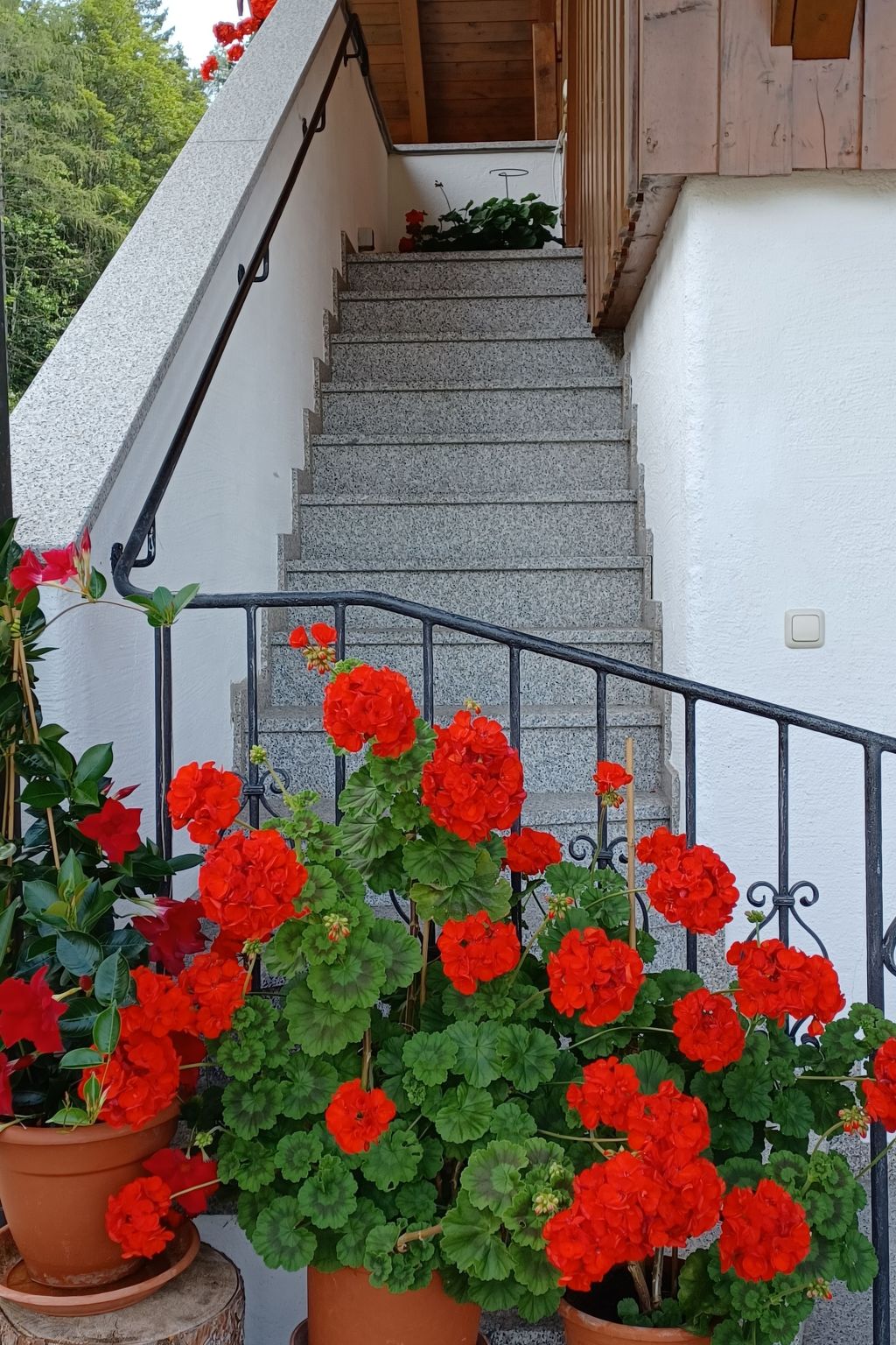 Haus Heistracher-Dedans