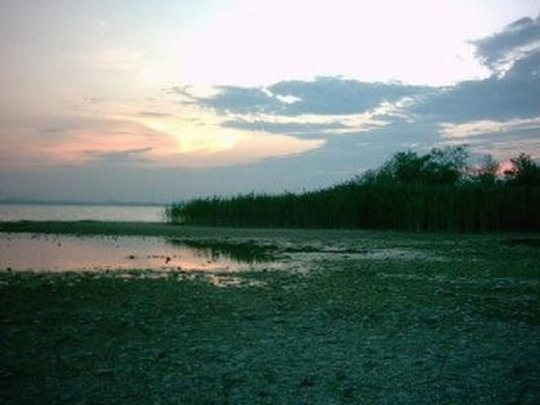 Forsthaus Chiemsee-Binnen