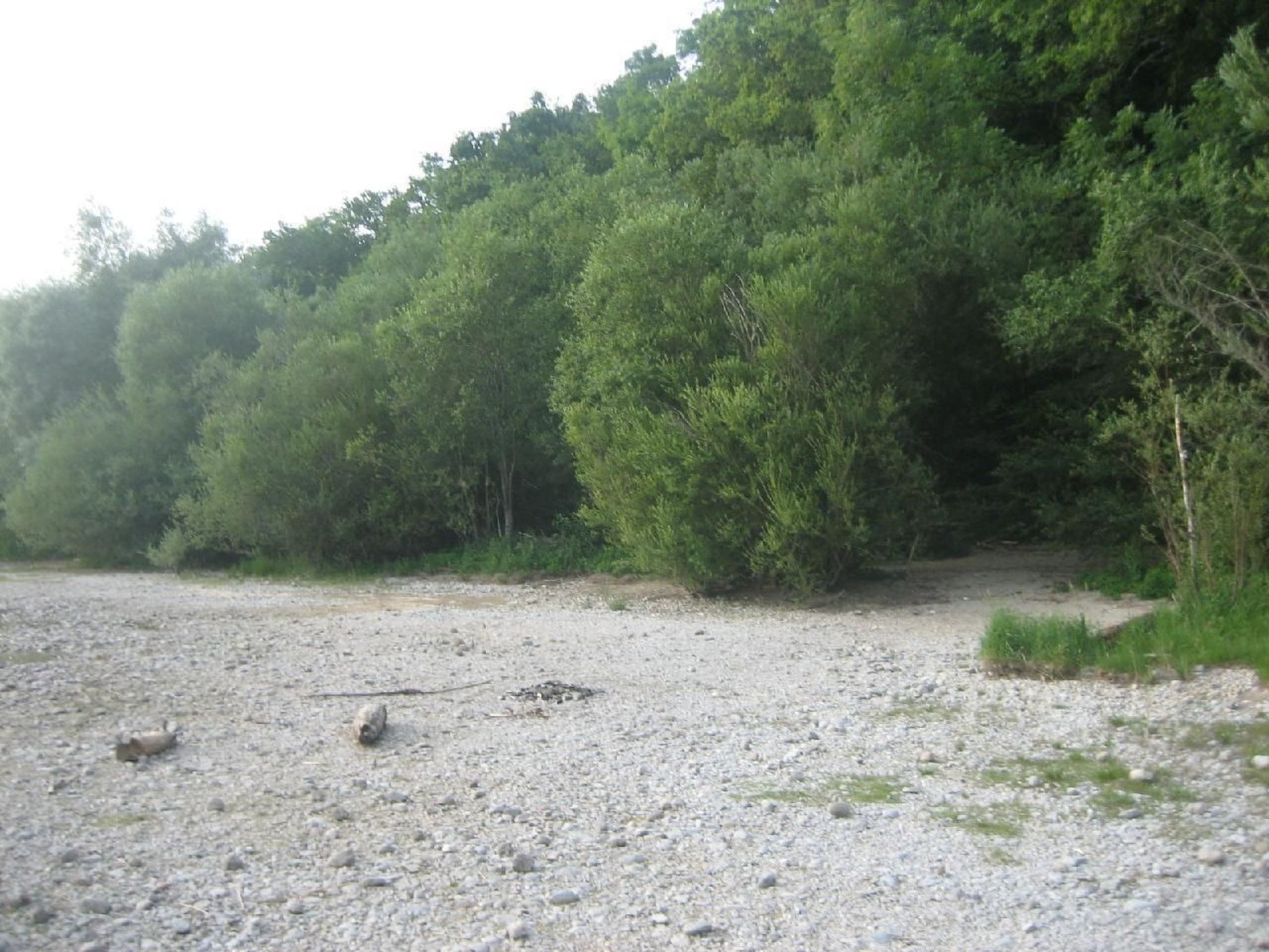 Forsthaus Chiemsee-Binnen