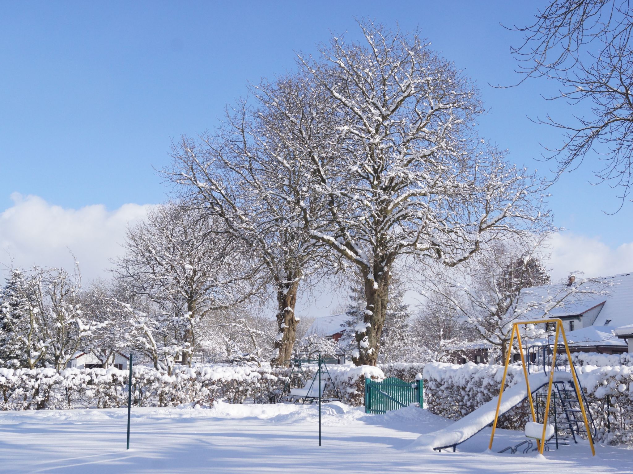 Schöne Wohnung bei Bergen auf Rügen - Image-tags.info