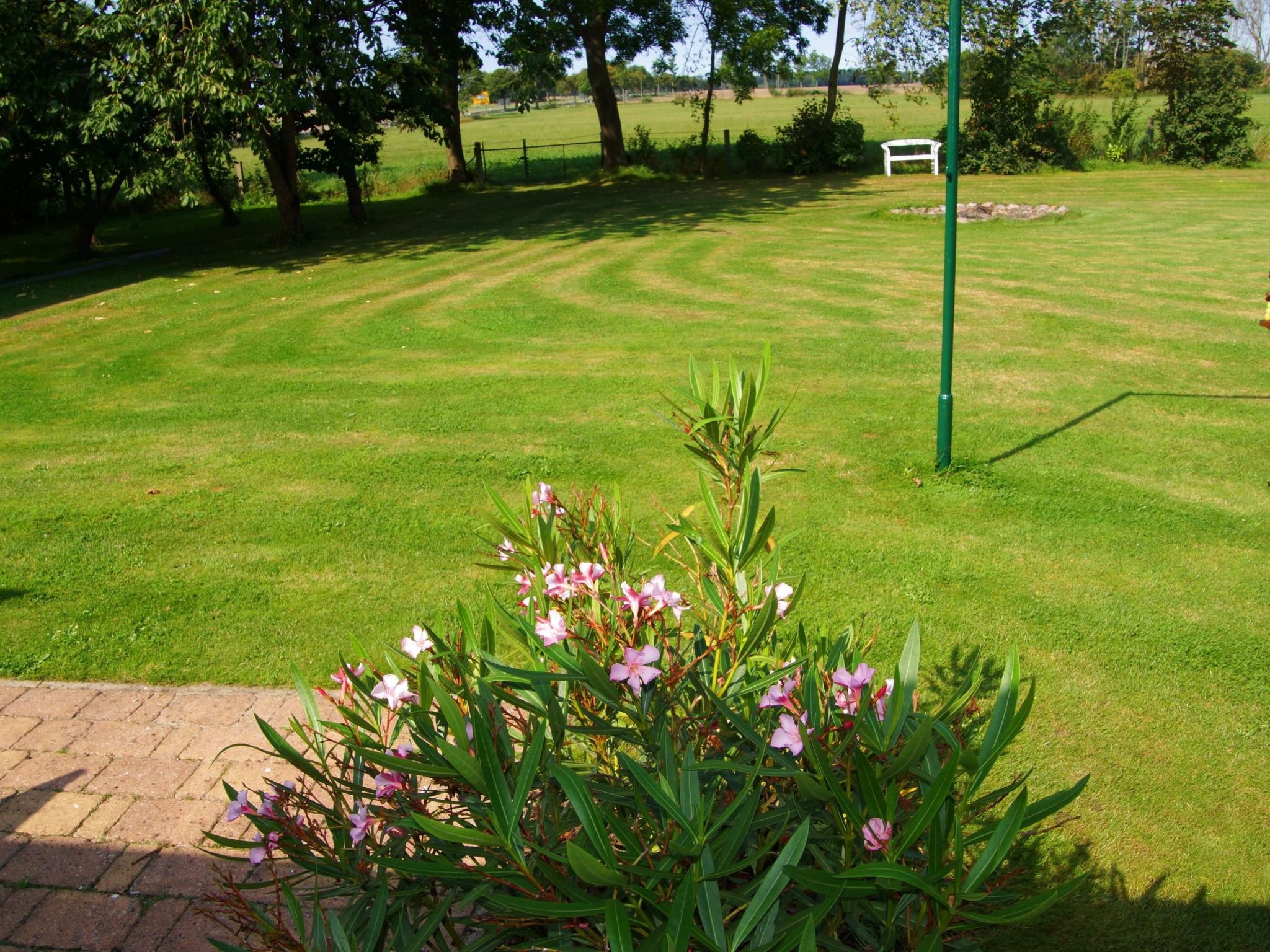 Schöne Wohnung bei Bergen auf Rügen - Outside