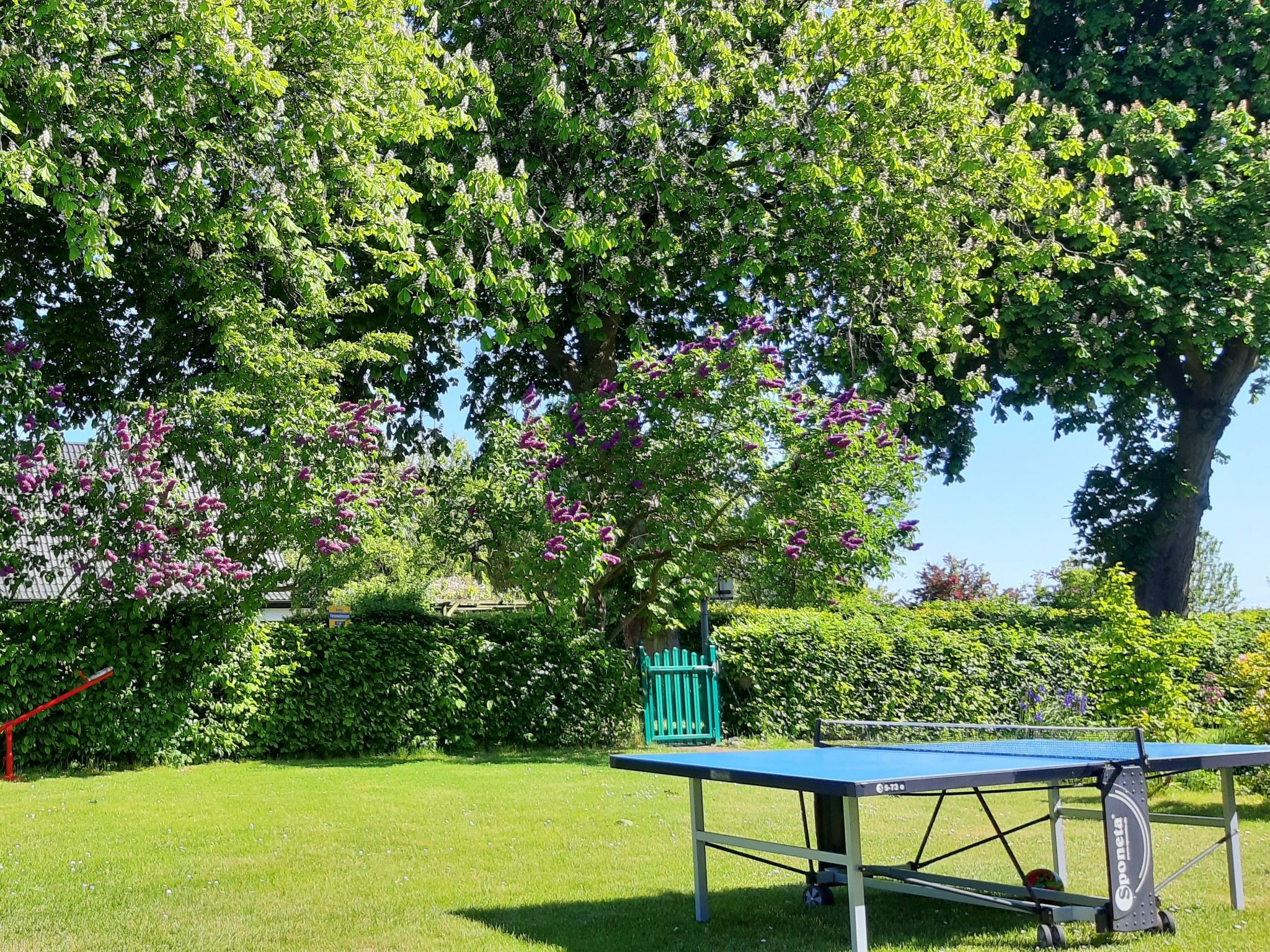 Schöne Wohnung bei Bergen auf Rügen - Outside