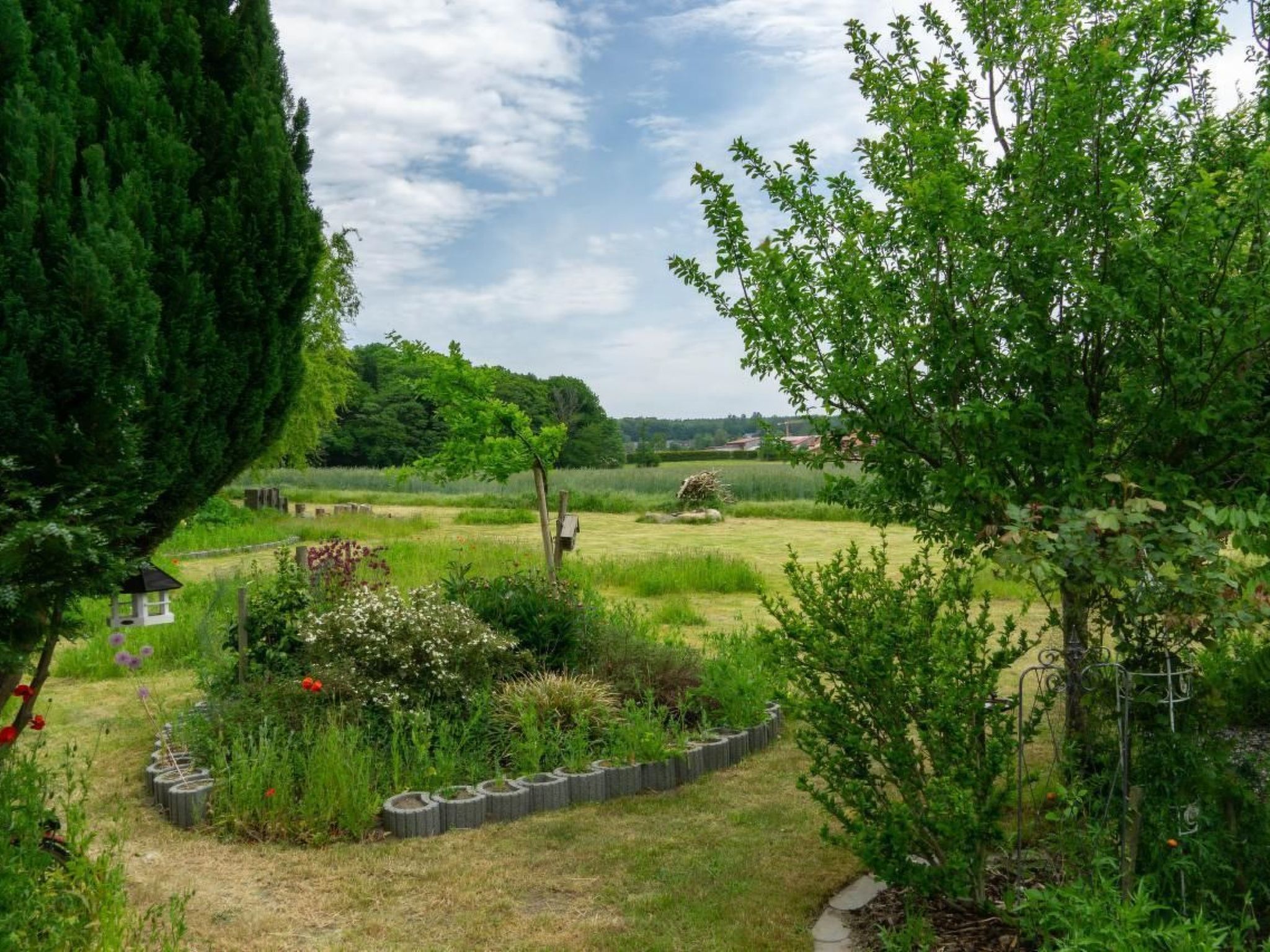 Schmetterling-Binnen