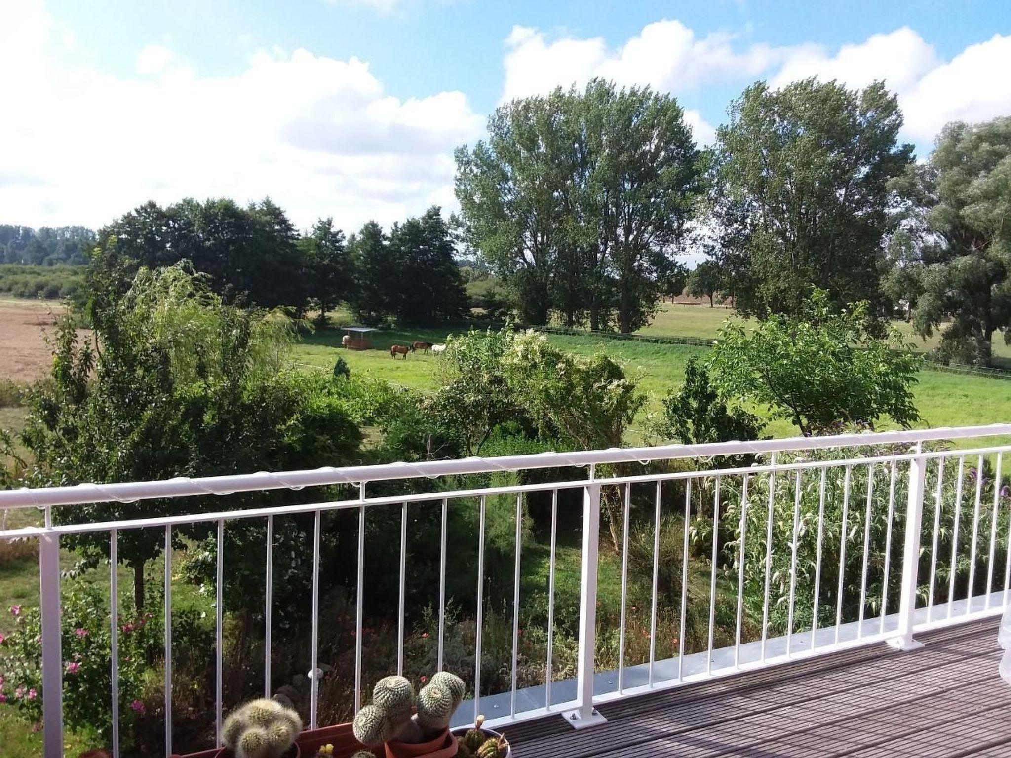 Schmetterling-Binnen