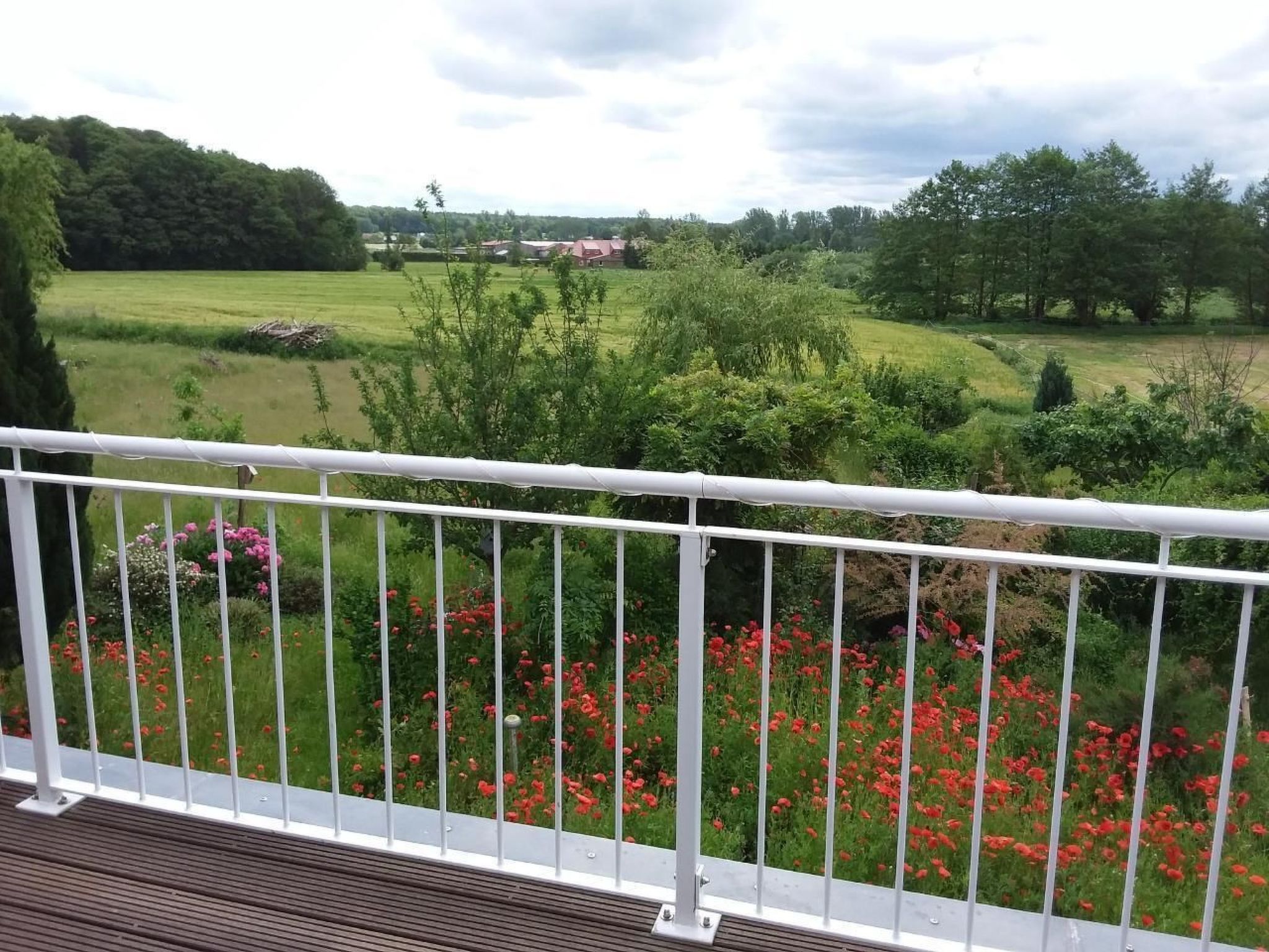 Schmetterling-Binnen