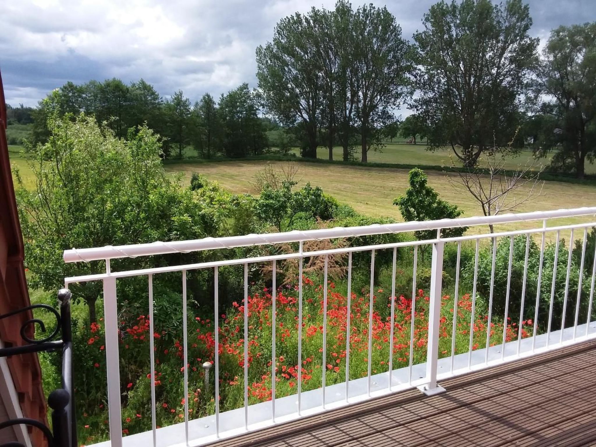 Schmetterling-Binnen