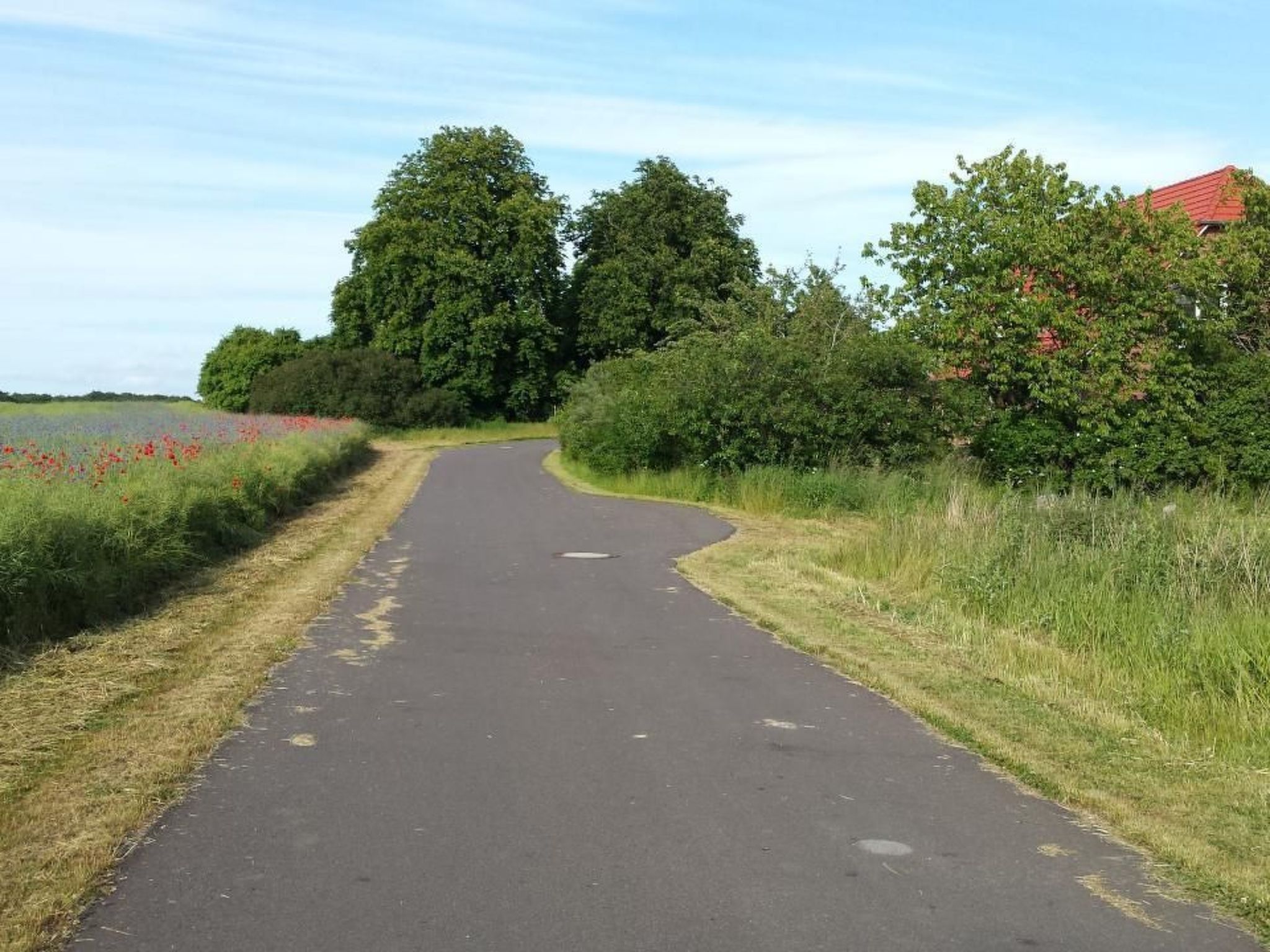 Schmetterling-Binnen