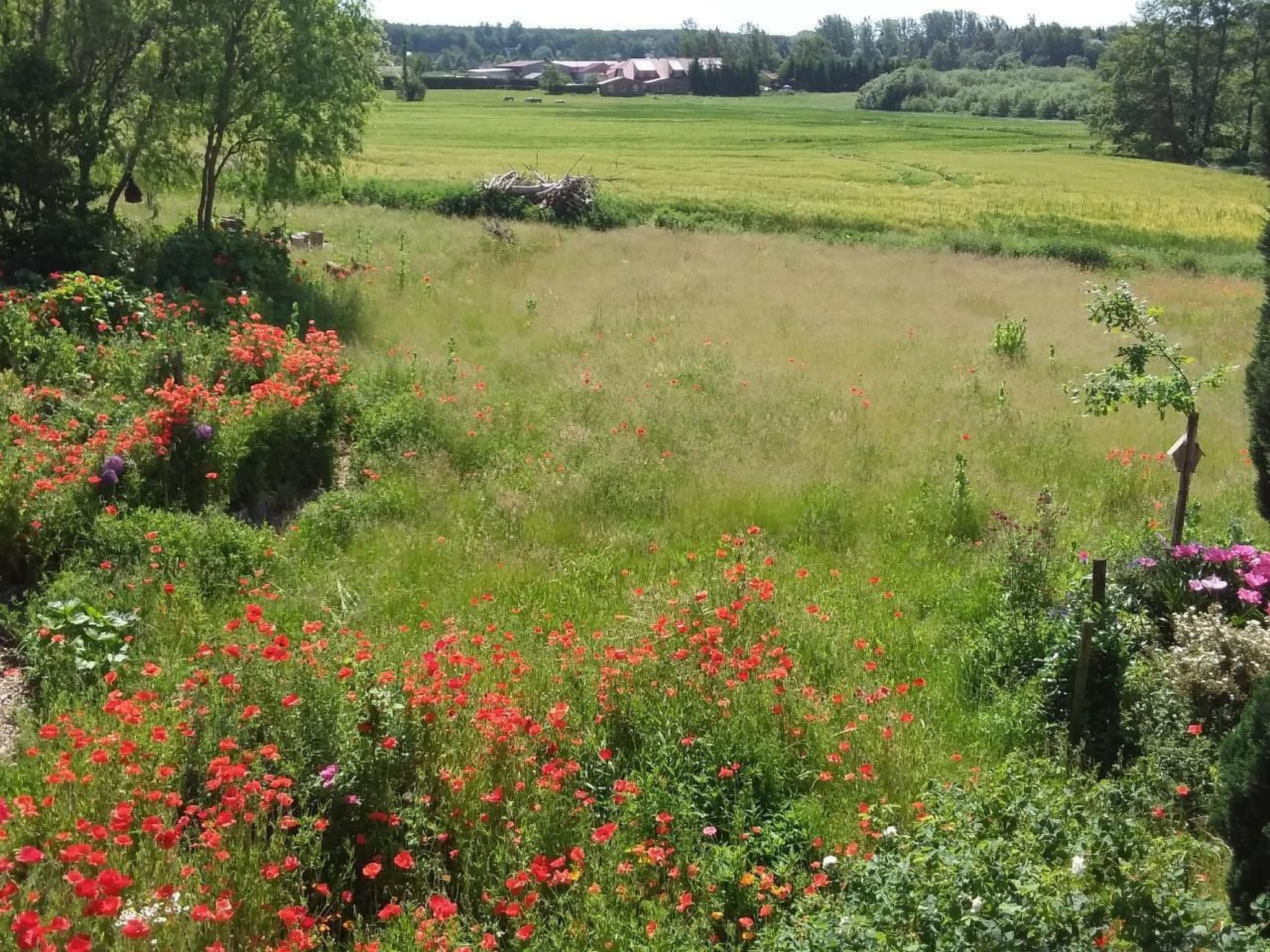 Schwalbennest-Binnen