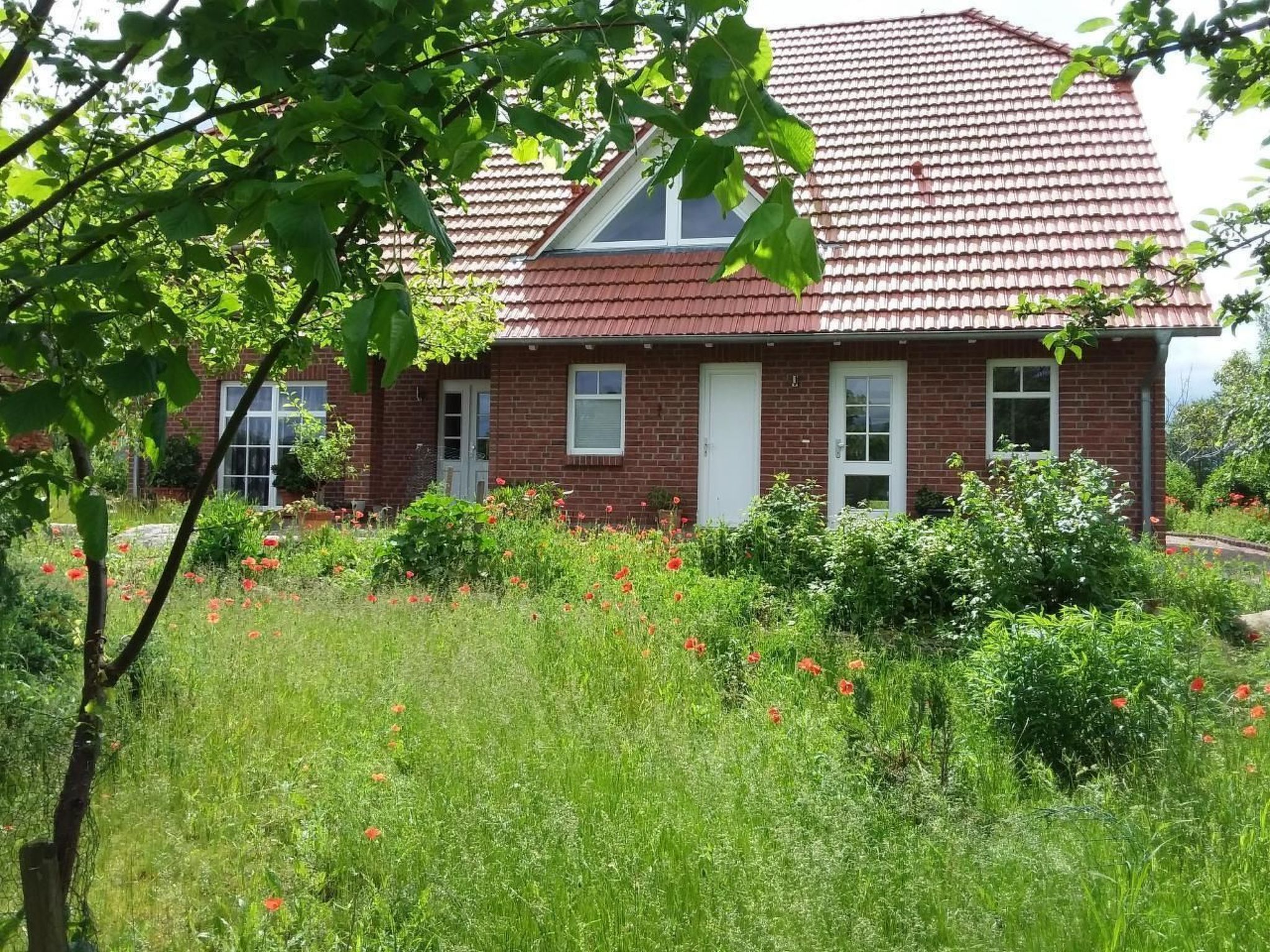 Schwalbennest-Binnen