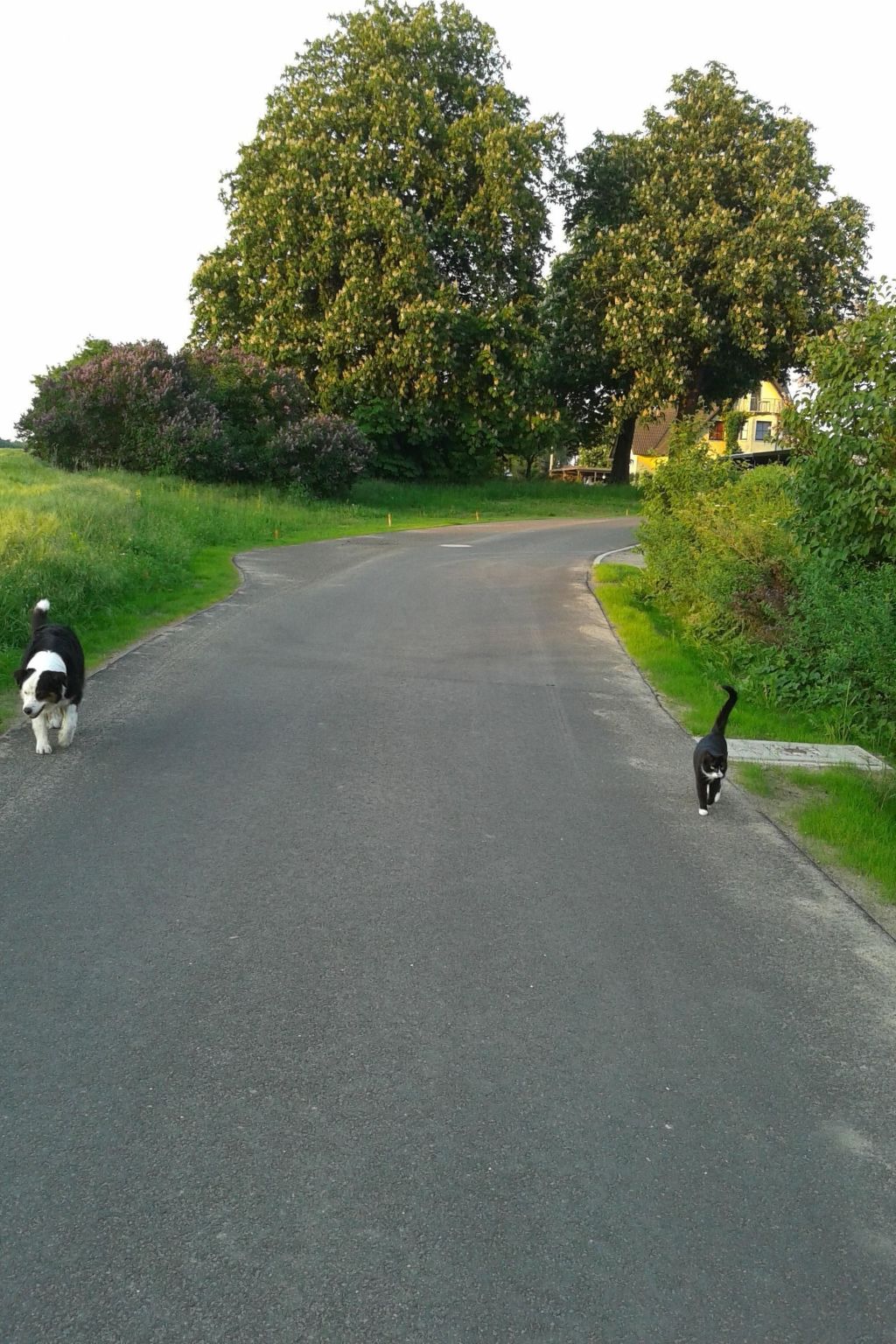 Schwalbennest-Binnen