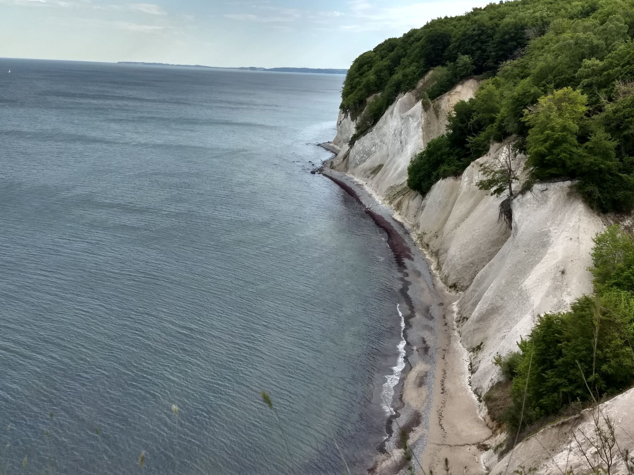 Schwalbennest-Binnen