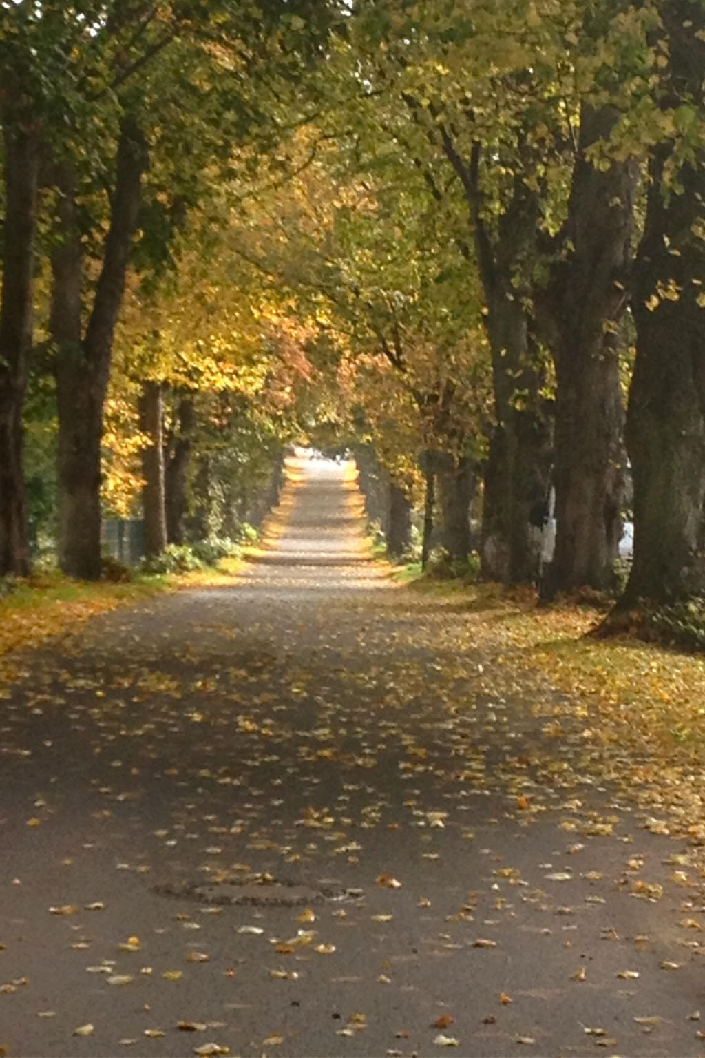 Gemütliches Apartment im Dachgeschoss-Binnen