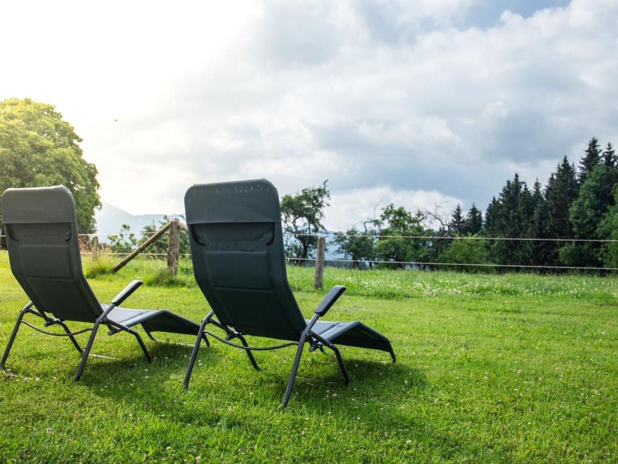 Am Riedl-Image-tags.info