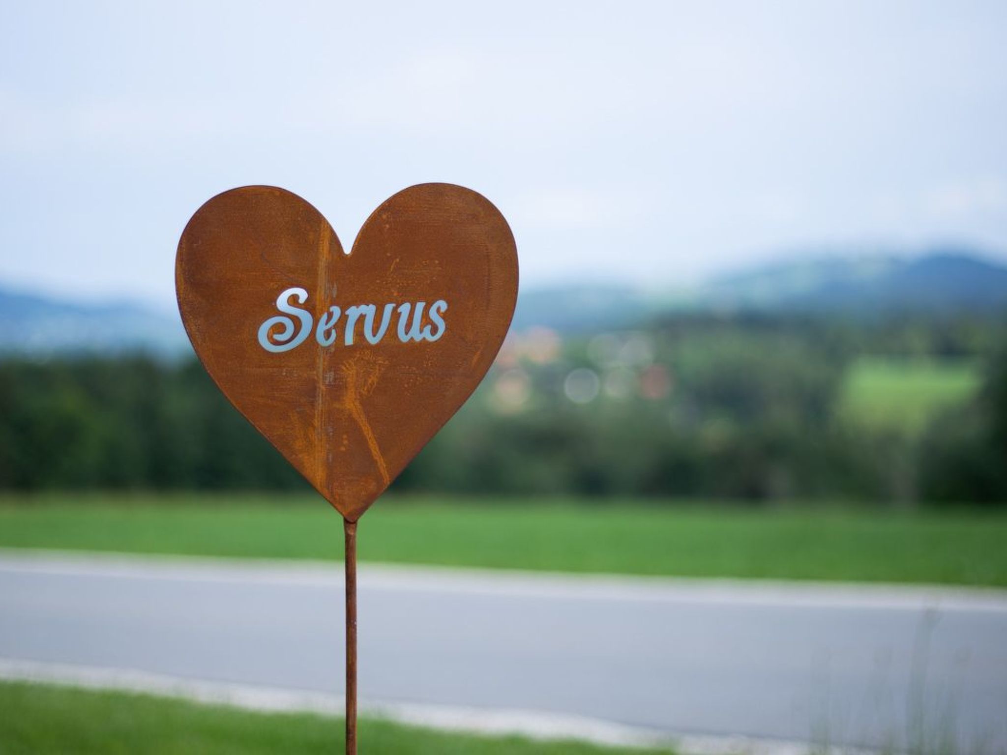 Am Riedl-Image-tags.info