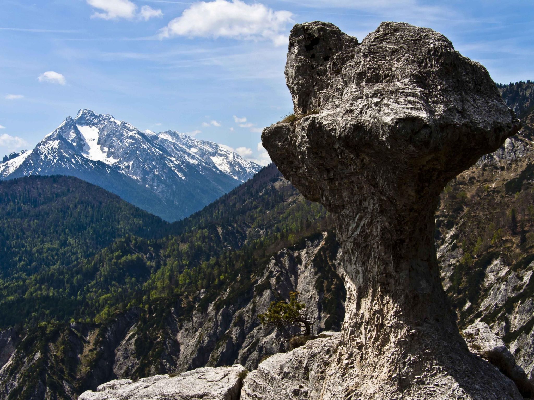 Appartement mit Terrasse-Image-tags.info