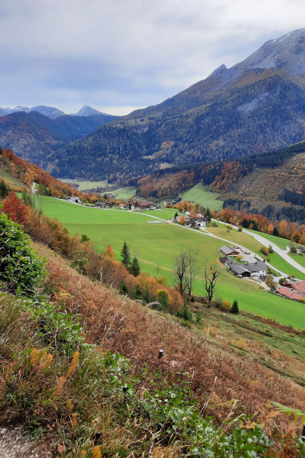 Fewo Rheinfeld-Drinnen