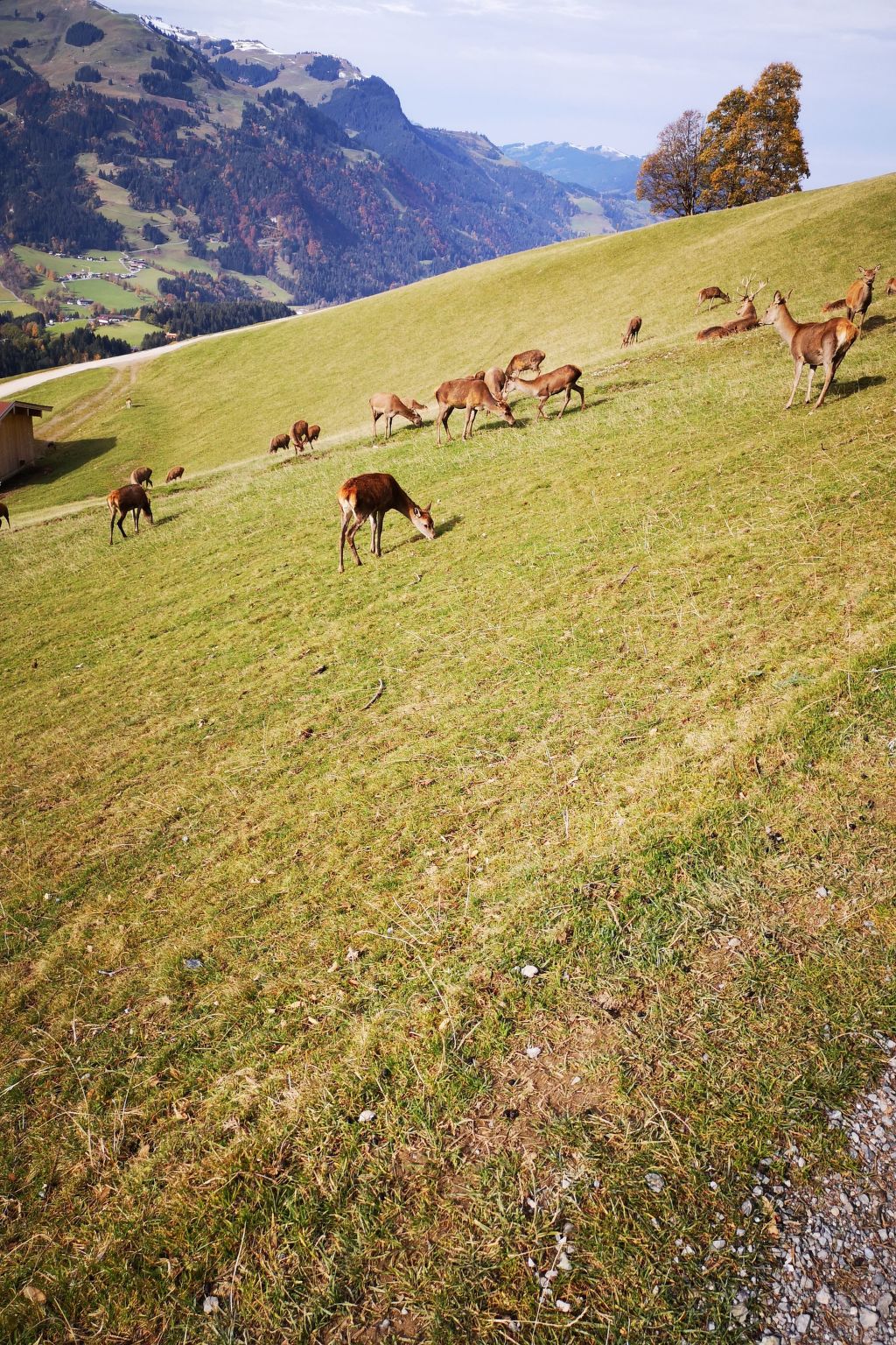 Fewo Rheinfeld-Drinnen