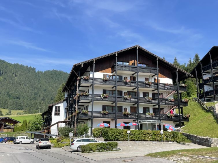 "Alpenappartement Buchenhöhe A301", appartement 2-kamers 60 m2 op de 3e verdieping. Licht, comfortabel en smaakvol ingericht: hal. Woon-/eetkamer met 1 2-pers divanbed (180 cm, lengte 200 cm), Kabel-..