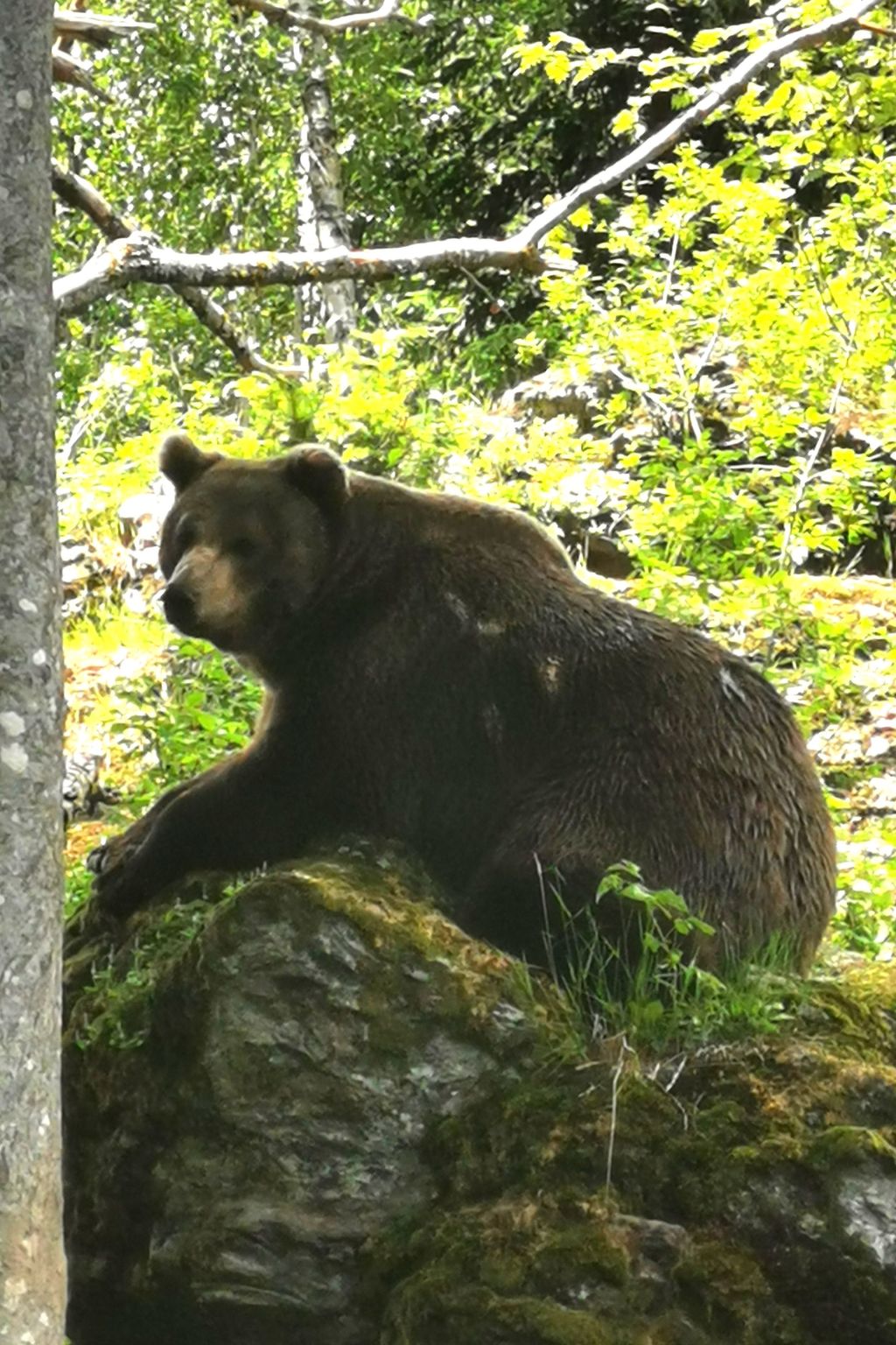 AnNo Wohlfühlen Bach-Binnen