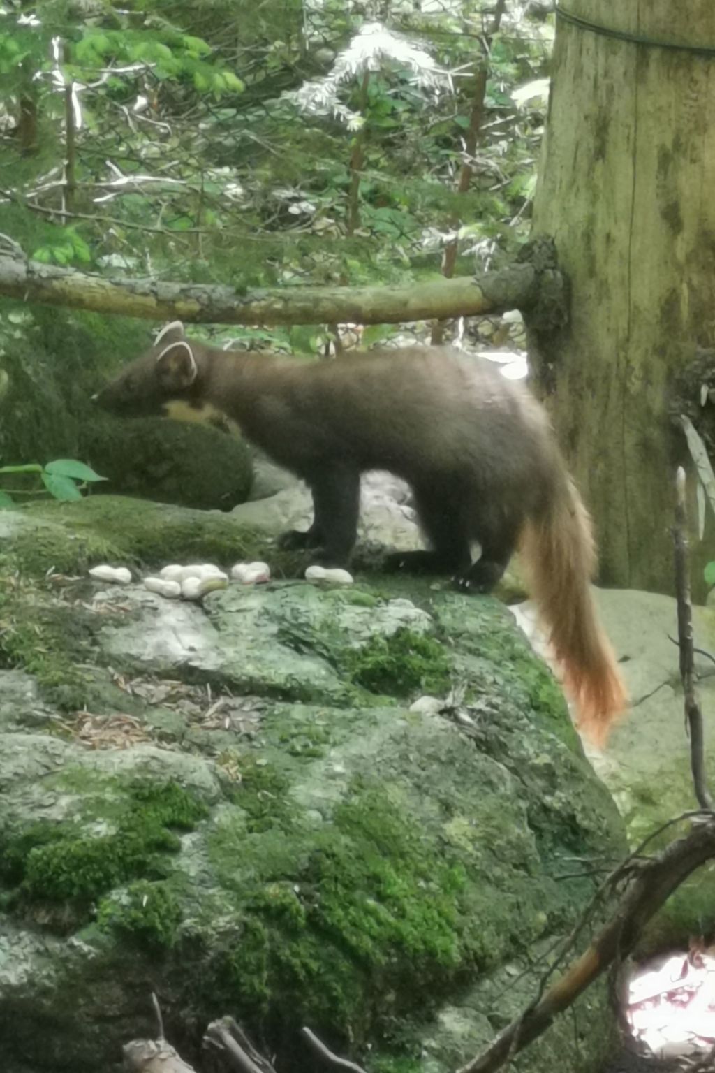 AnNo Wohlfühlen Bach-Binnen