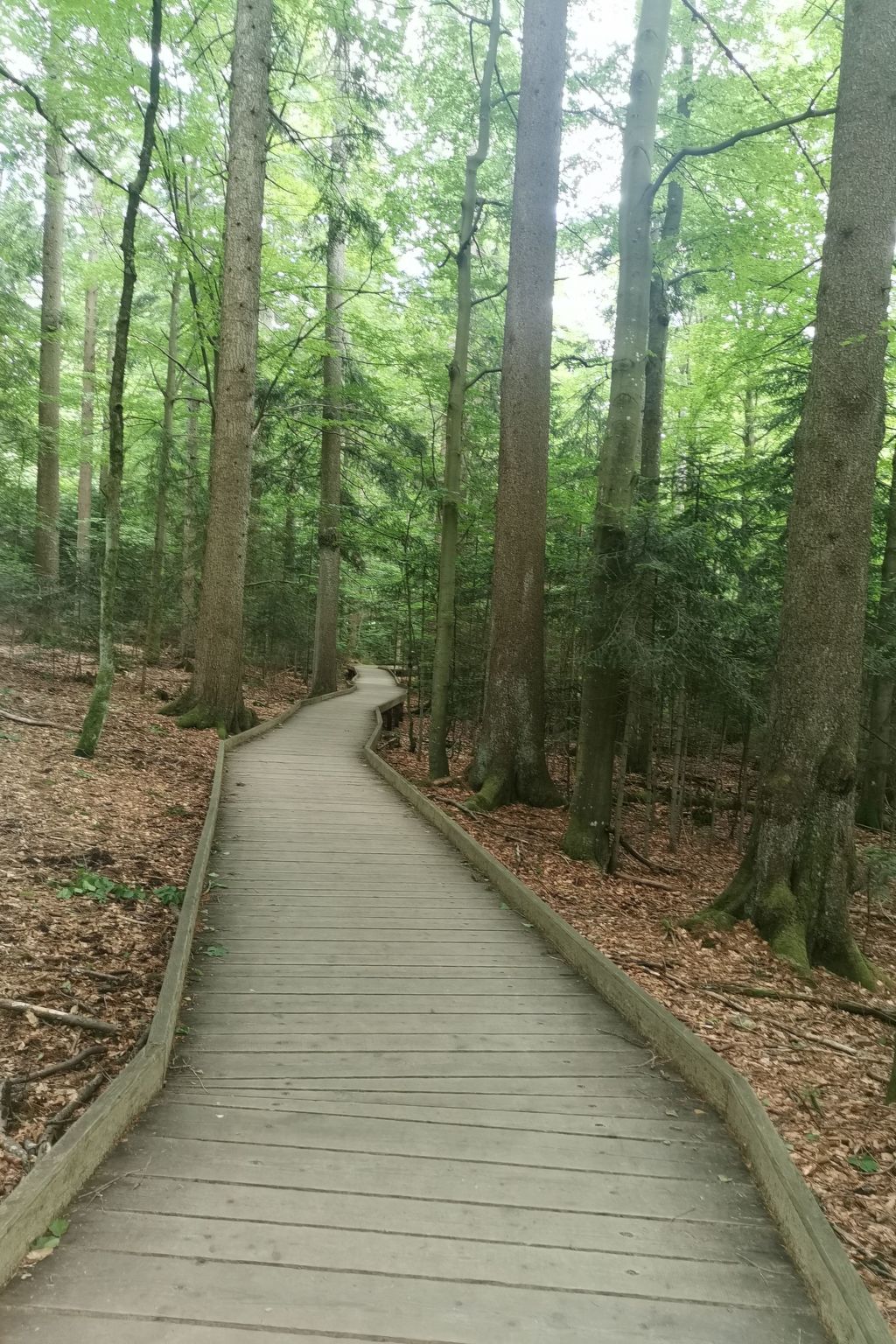 AnNo Wohlfühlen Bach