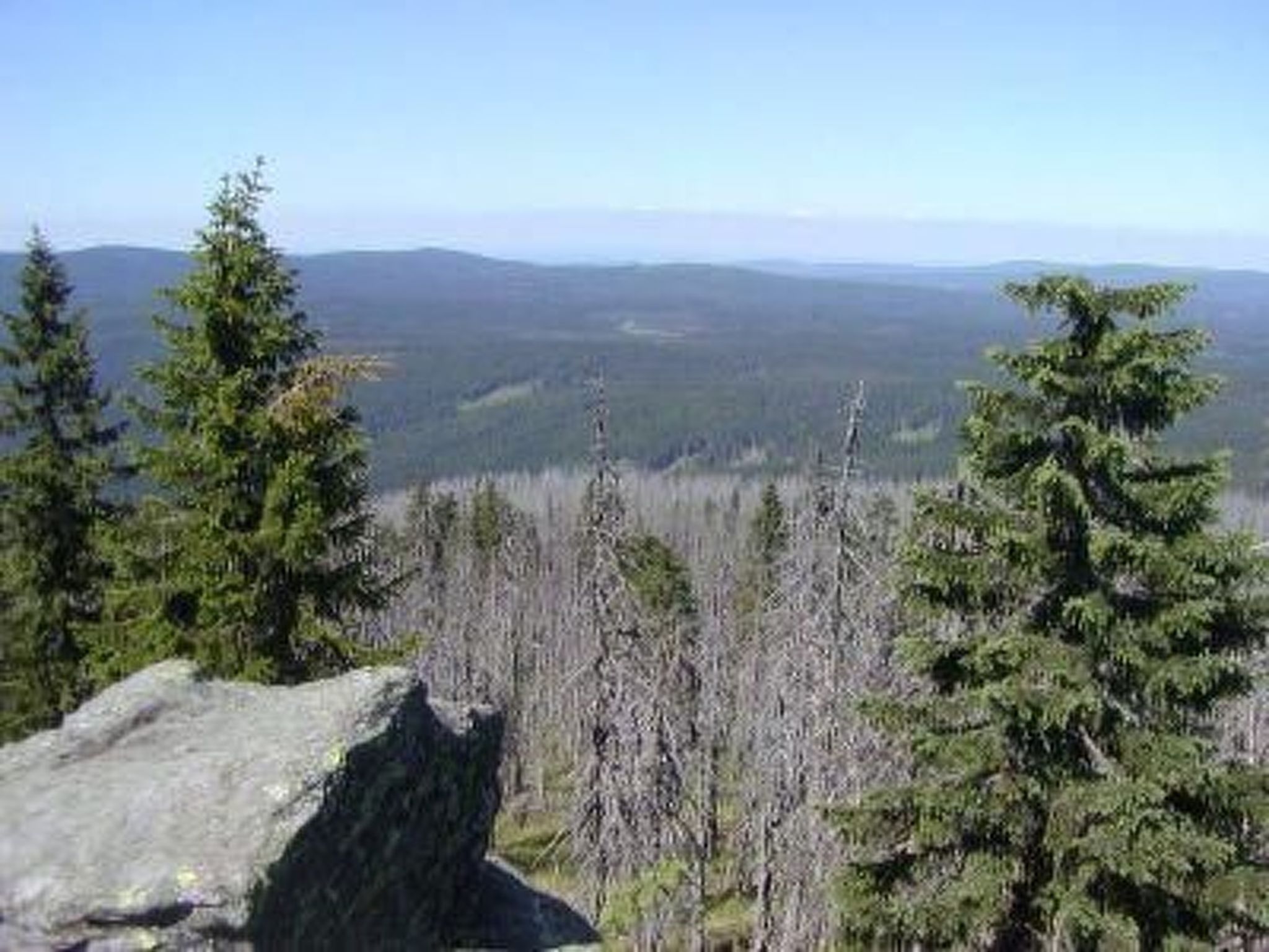 Tamara in Eppenschlag-Dedans