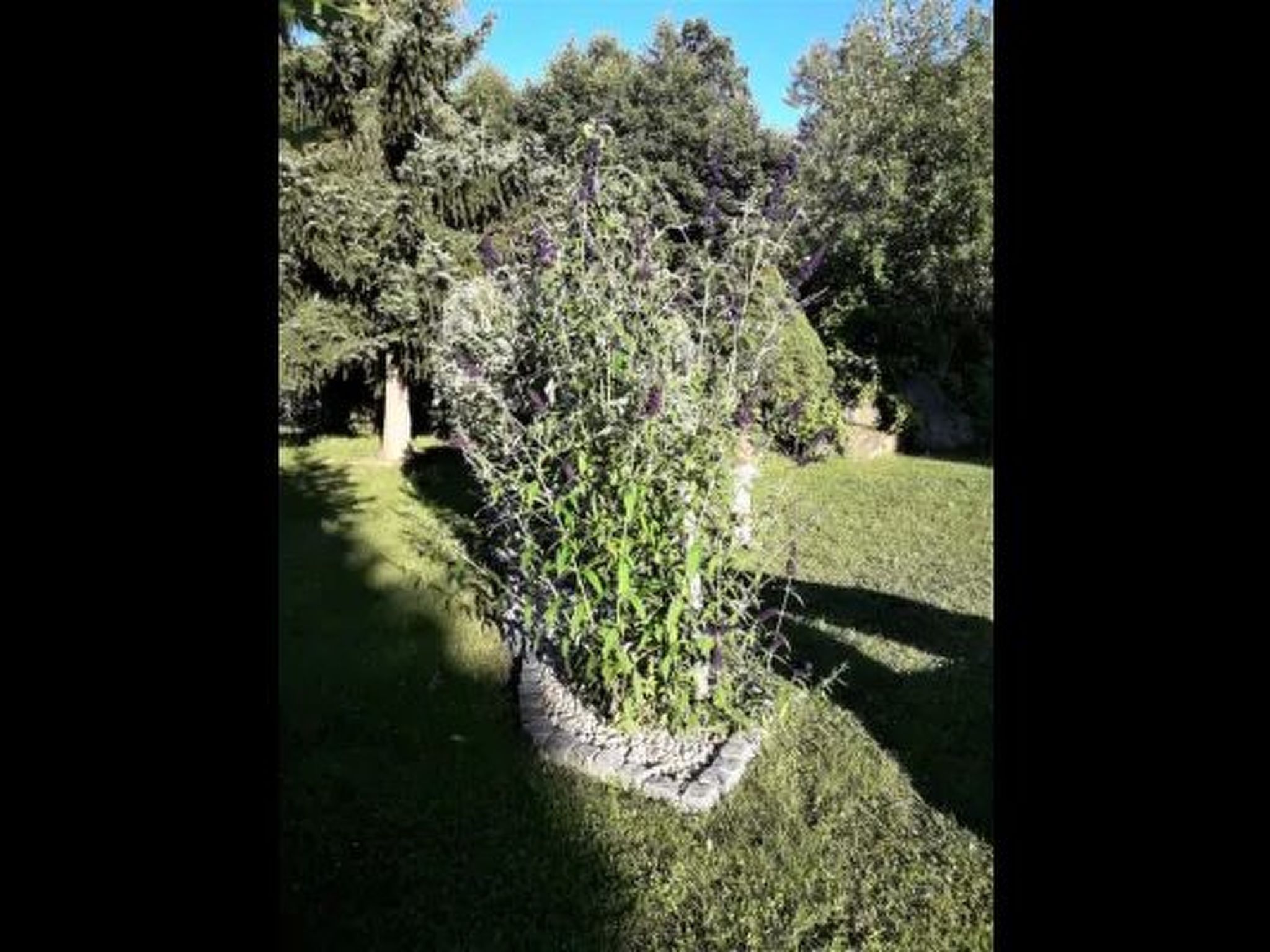 Marco in Eppenschlag-Dedans