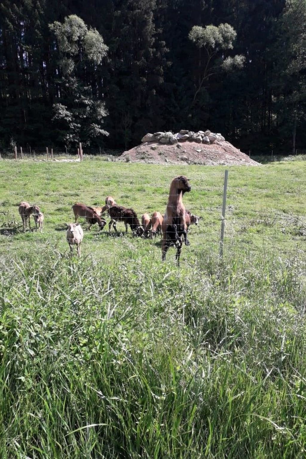 Marco in Eppenschlag-Dedans