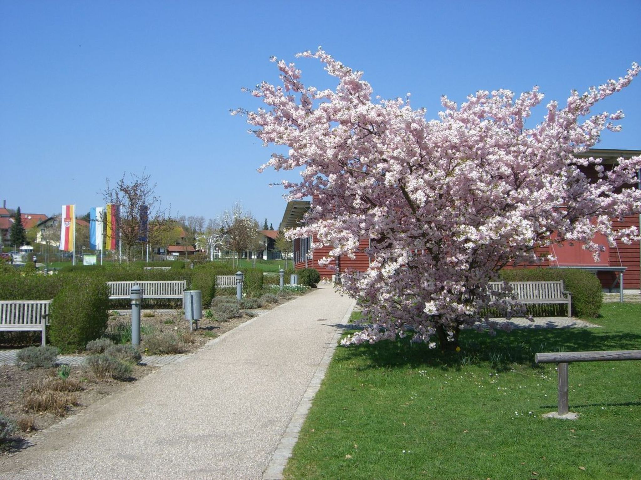 Herrliche Ferienwohnung mit Grill und Garten-Drinnen