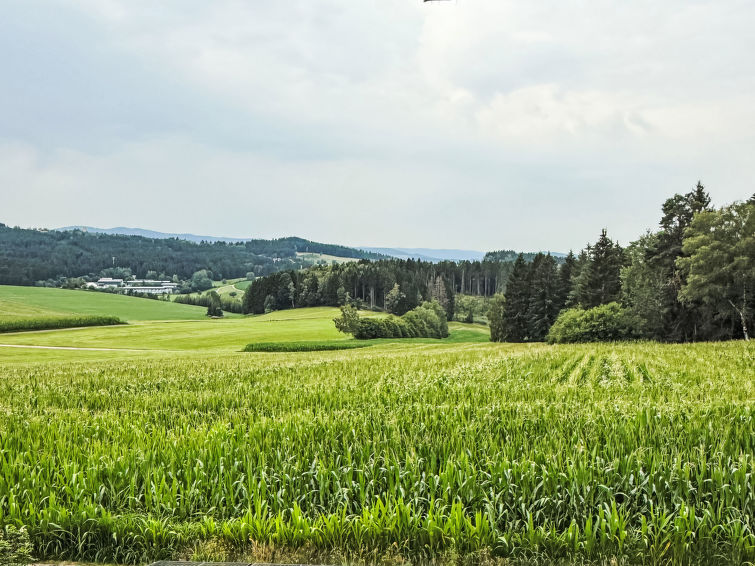 Rachel Mit Herrlichem Ausblick - Rinchnach