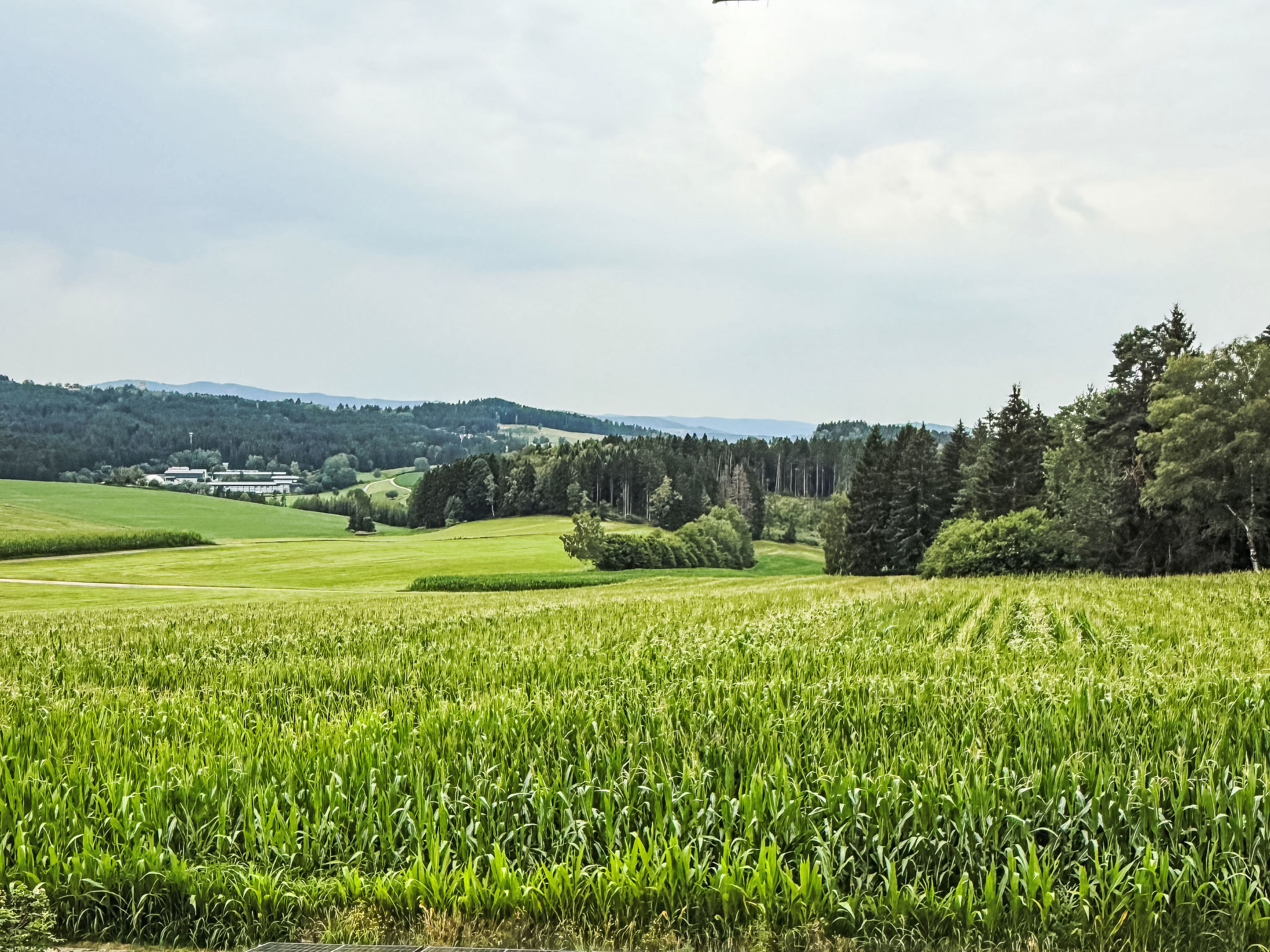 Rachel mit herrlichem Ausblick