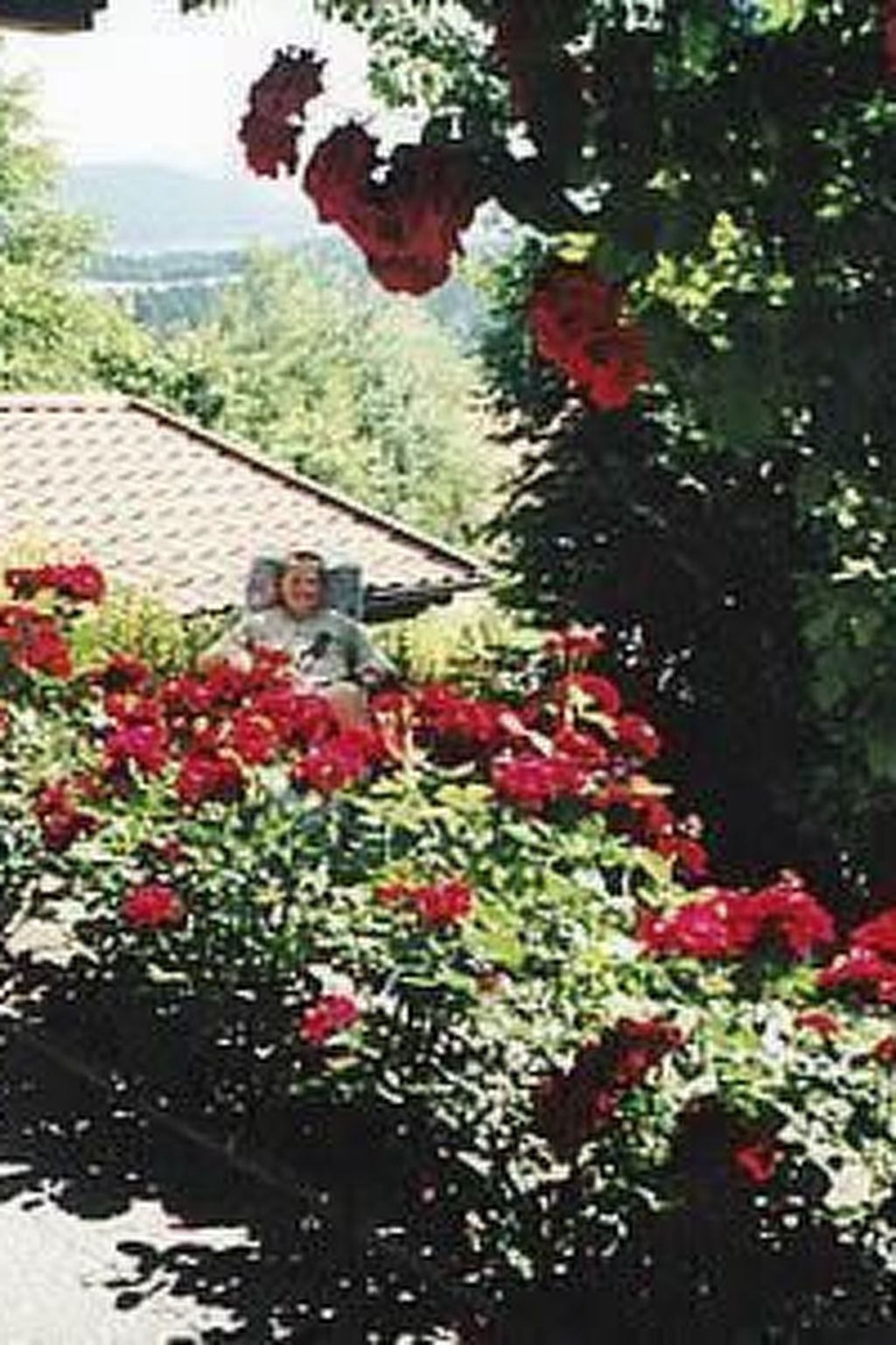 Mit sonniger Terrasse und Ausblick-Drinnen