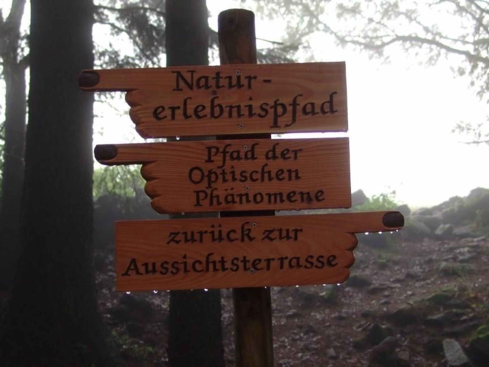 Mit sonniger Terrasse und Ausblick-Drinnen