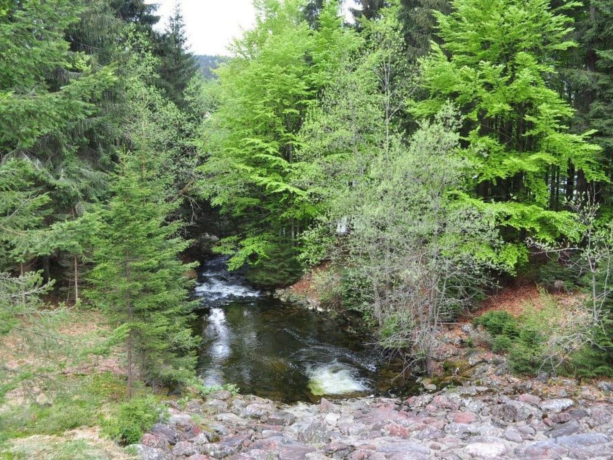 Mit sonniger Terrasse und Ausblick-Drinnen
