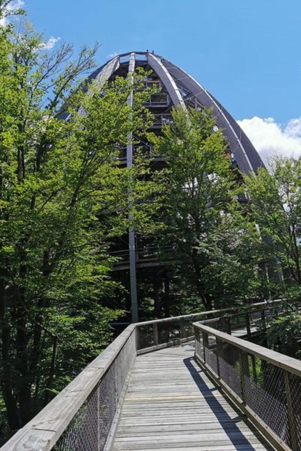 Bayerischer Wald auf 800m Höhe-Willkommen-Inside