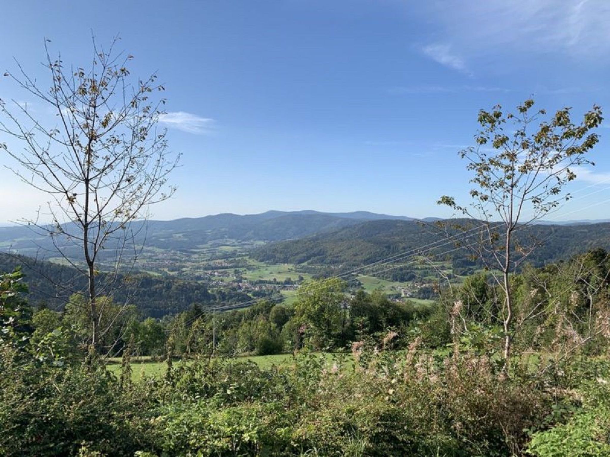 Bayerischer Wald auf 800m Höhe-Willkommen-Inside