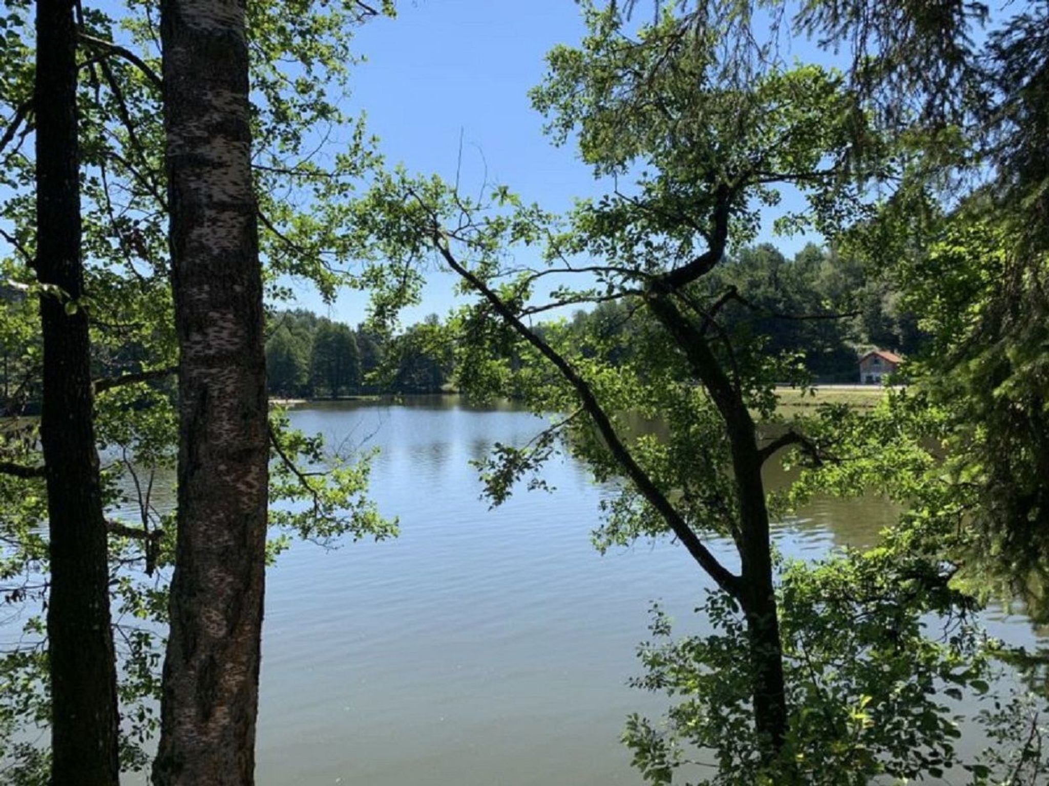Bayerischer Wald auf 800m Höhe-Willkommen-Inside