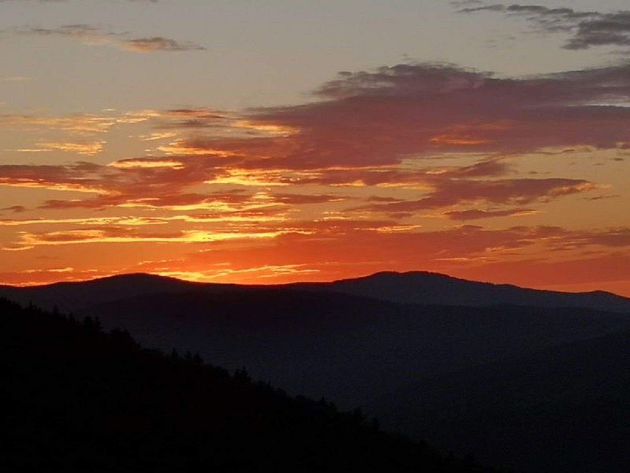 Bayerischer Wald auf 800m Höhe-Willkommen-Inside
