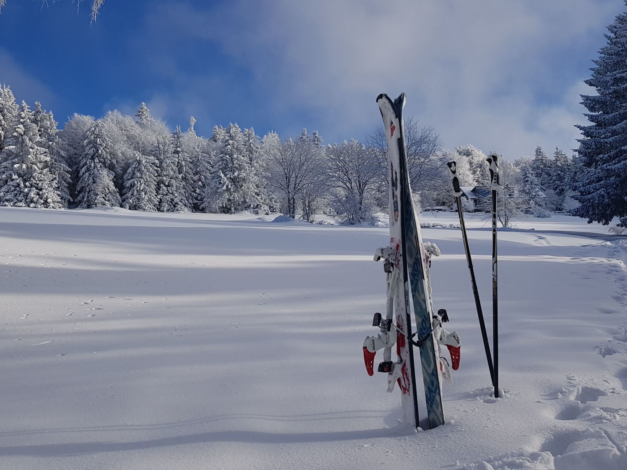 Charmante Wohnung in Langfurth mit Kleinem Balkon-Image-tags.info